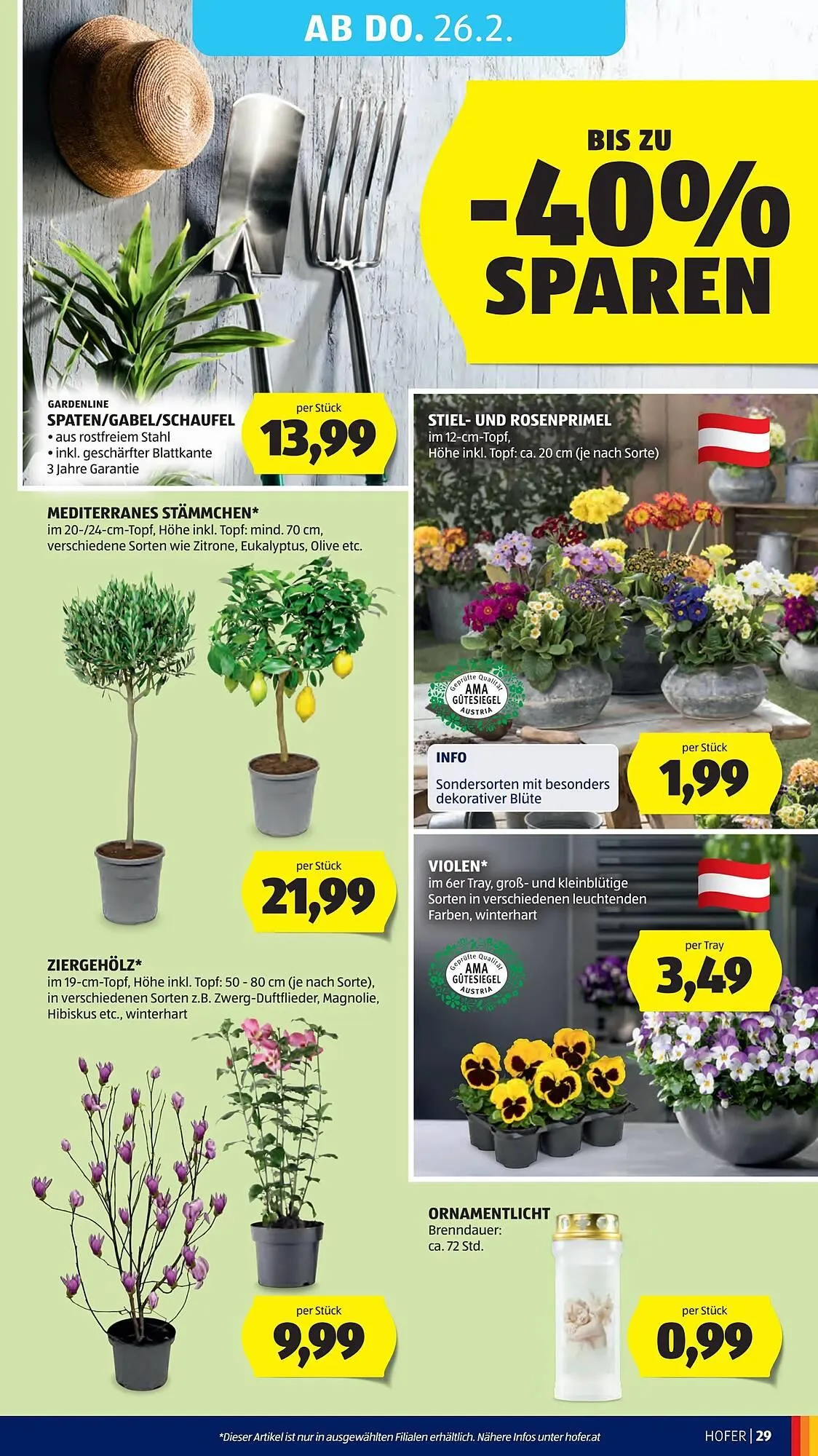 Hofer Flugblatt von 20. Februar bis 1. März 2026 - Flugblätt seite 33