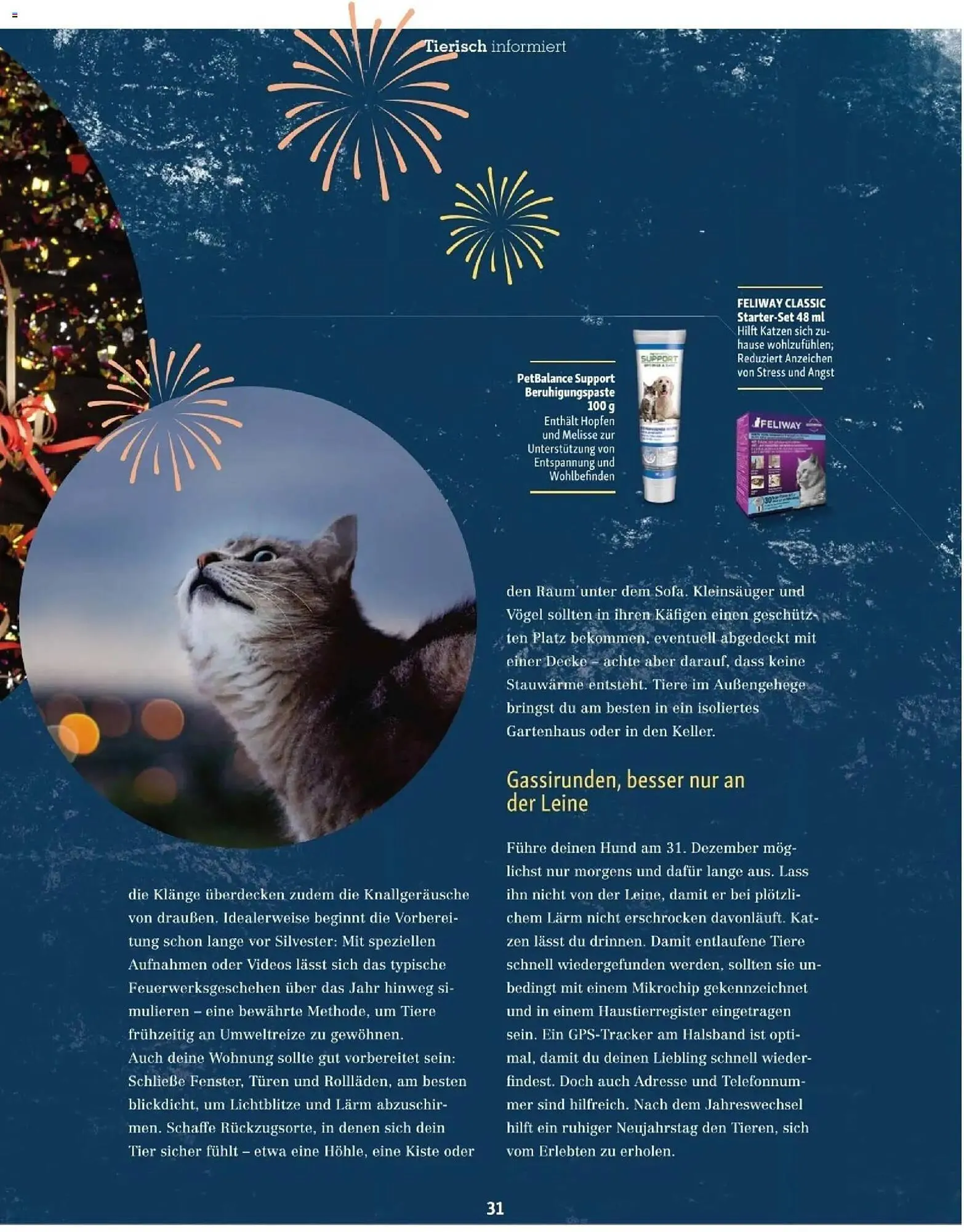 Fressnapf Flugblatt von 1. November bis 31. Dezember 2025 - Flugblätt seite  31