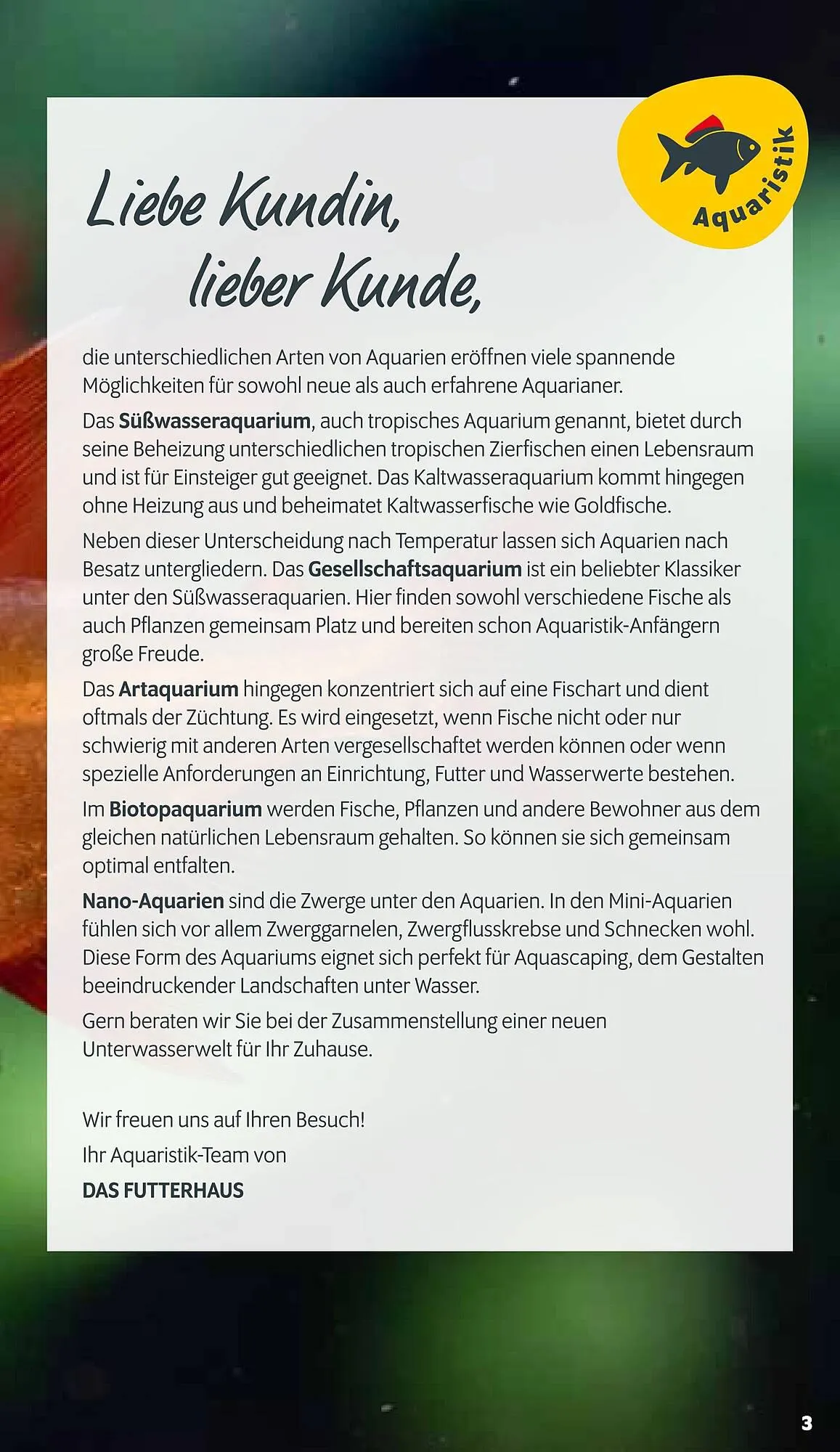 Das Futterhaus Flugblatt von 23. Februar bis 23. März 2024 - Flugblätt seite 3