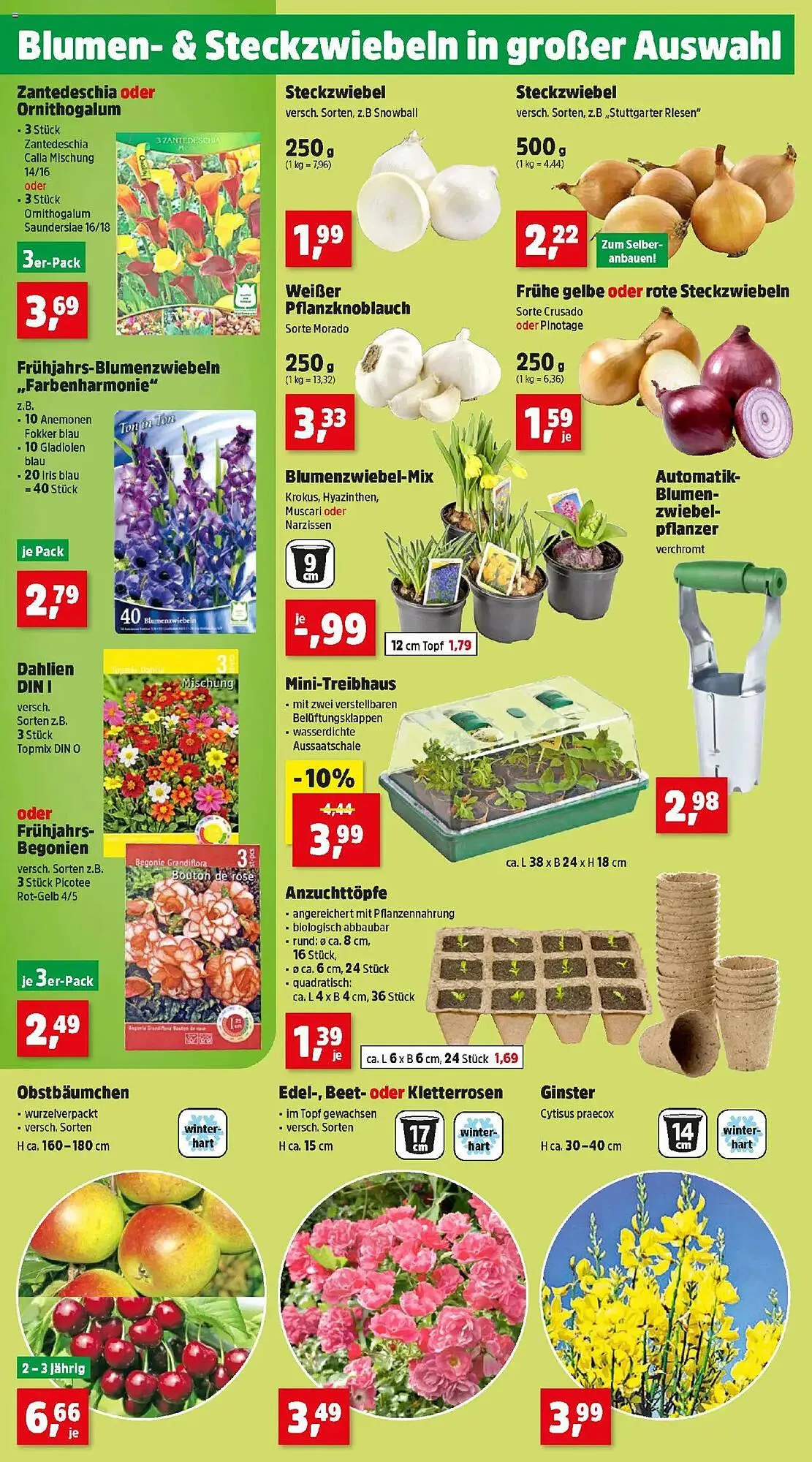 Thomas Philipps Flugblatt von 17. Februar bis 22. Februar 2025 - Flugblätt seite  2