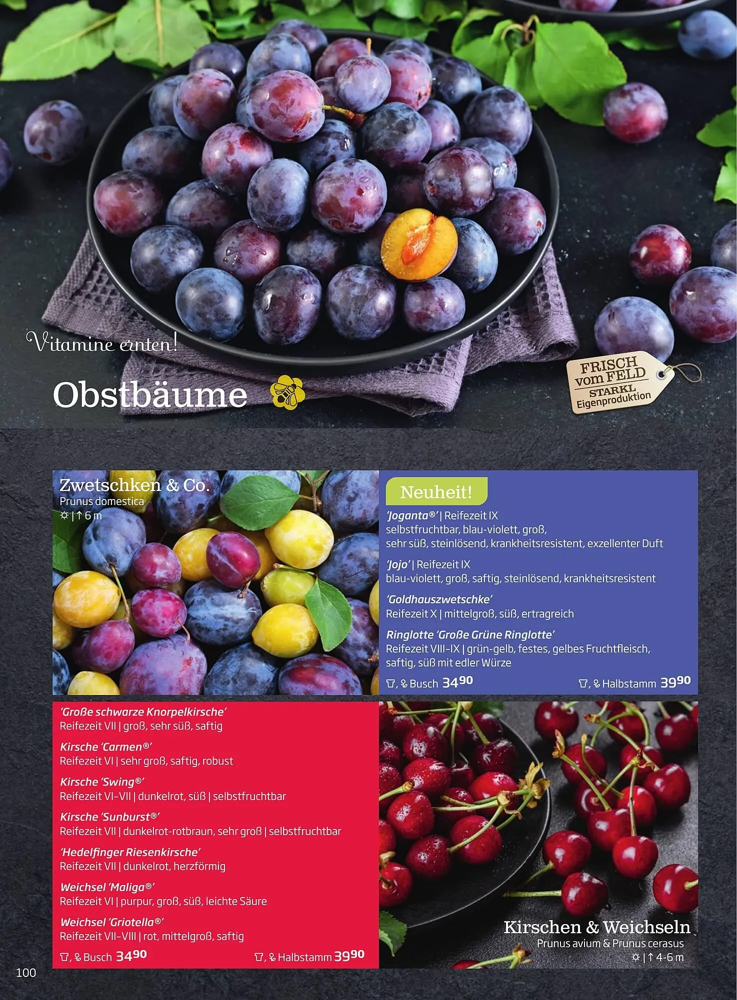 Starkl Flugblatt von 1. Jänner bis 31. Dezember 2023 - Flugblätt seite  100