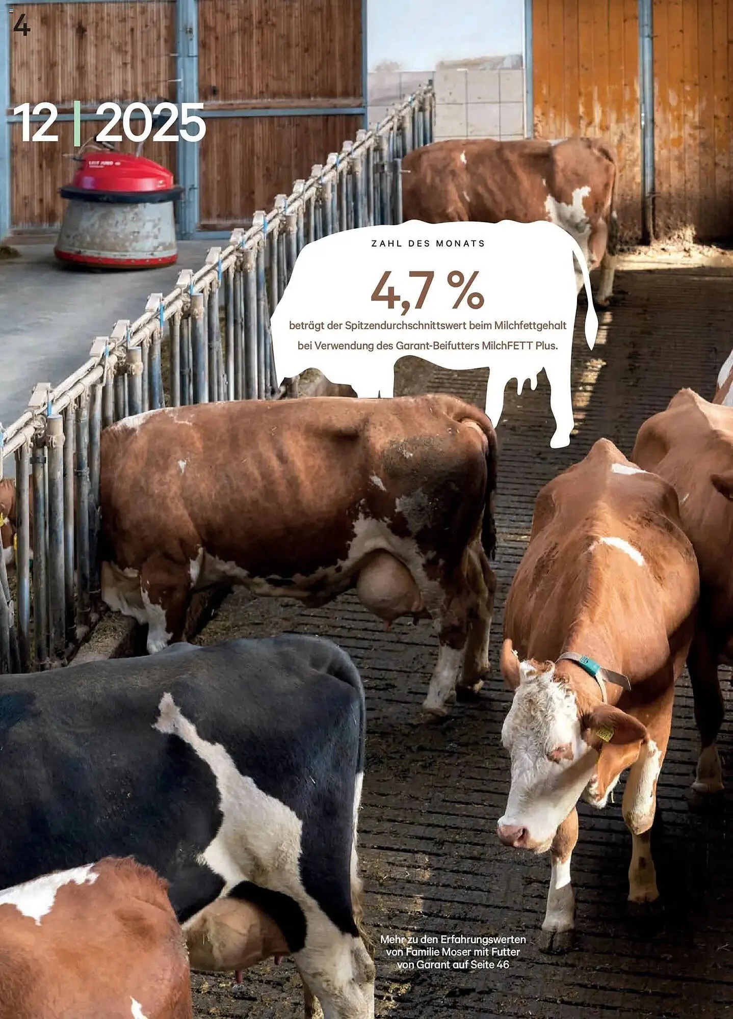 Lagerhaus Flugblatt von 1. Dezember bis 31. Dezember 2025 - Flugblätt seite  4