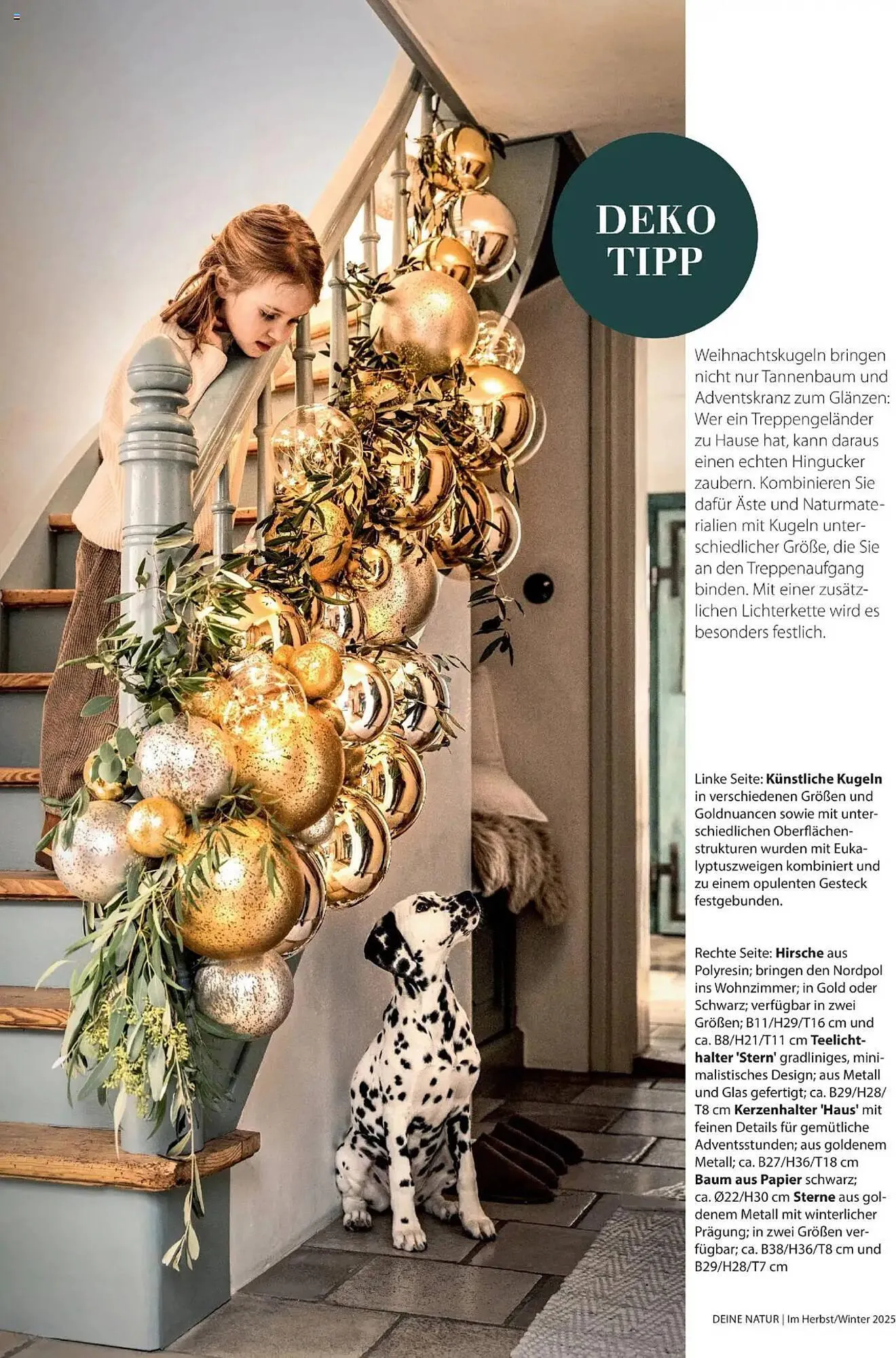 Dehner Flugblatt von 10. Oktober bis 30. November 2025 - Flugblätt seite  44