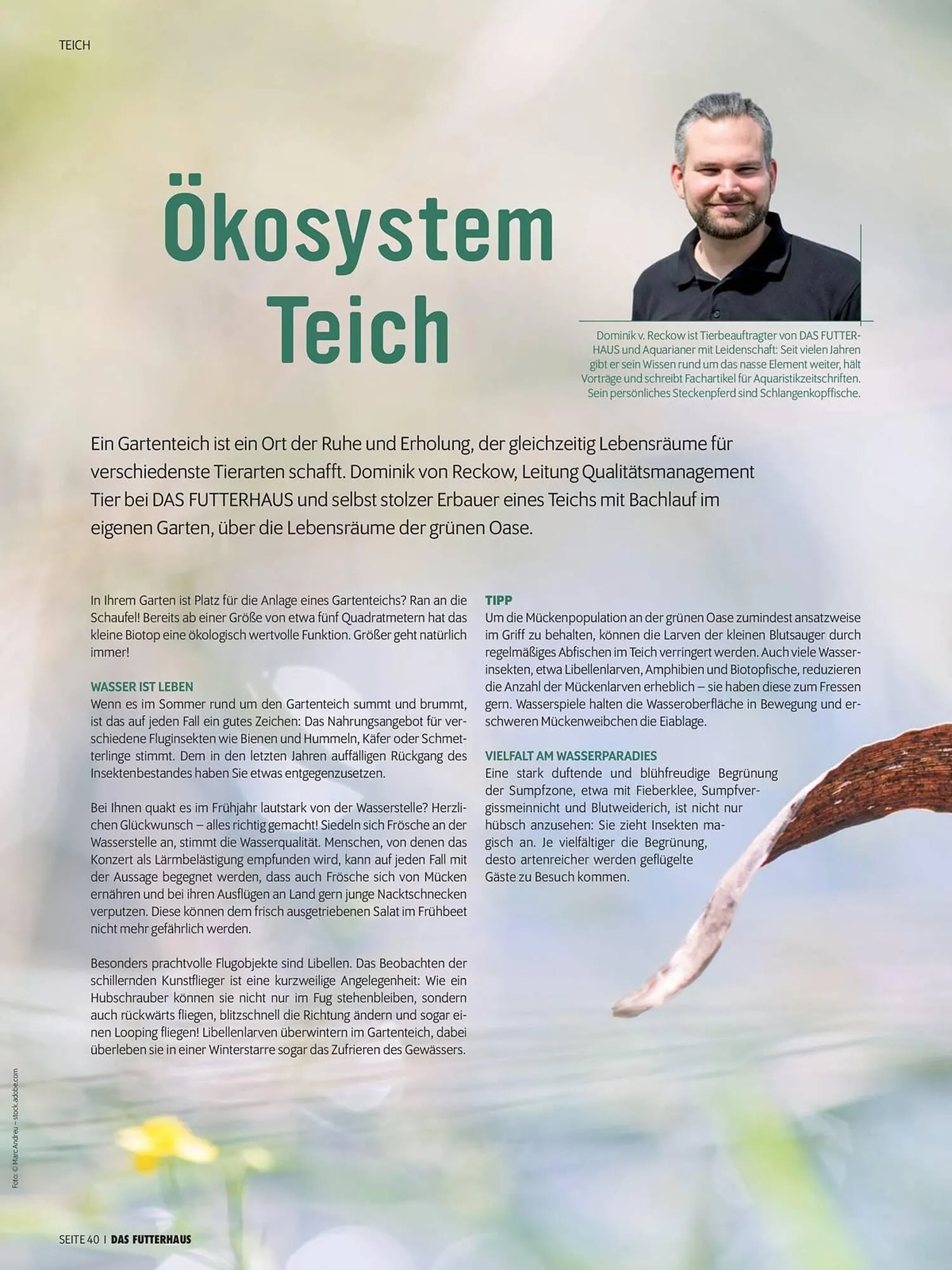 Das Futterhaus Flugblatt von 1. April bis 20. Mai 2024 - Flugblätt seite  40