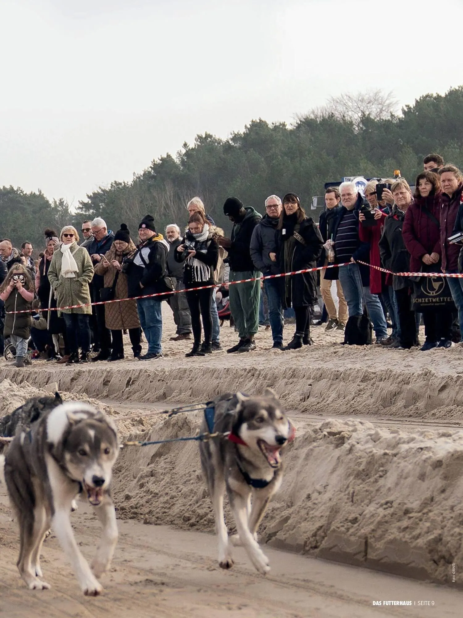Das Futterhaus Flugblatt von 1. April bis 20. Mai 2024 - Flugblätt seite  9