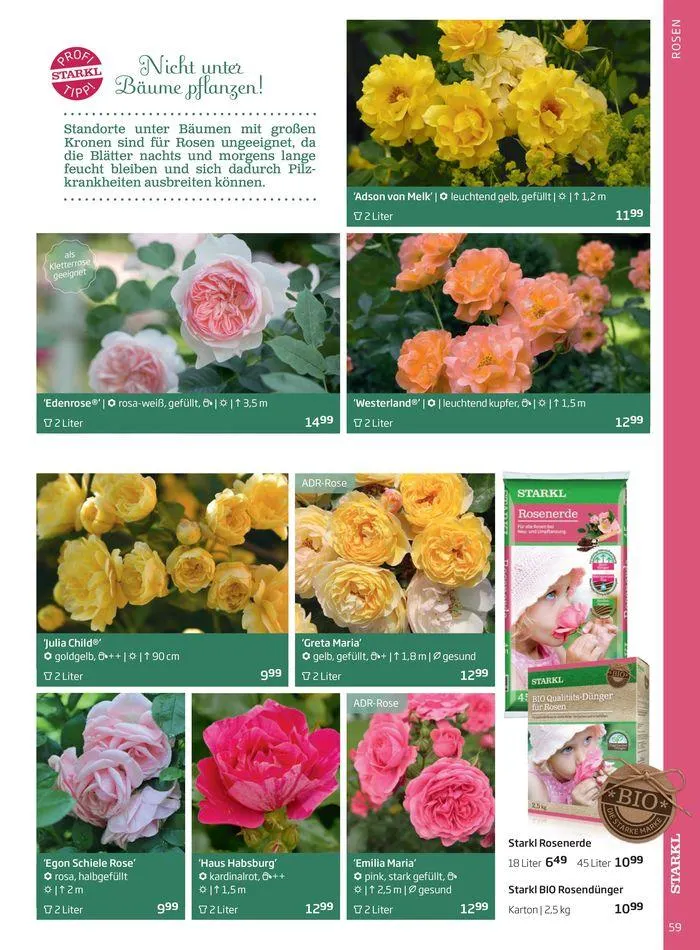 Gartencenter Jahreskatalog 2024 von 20. Mai bis 31. Dezember 2024 - Flugblätt seite  59
