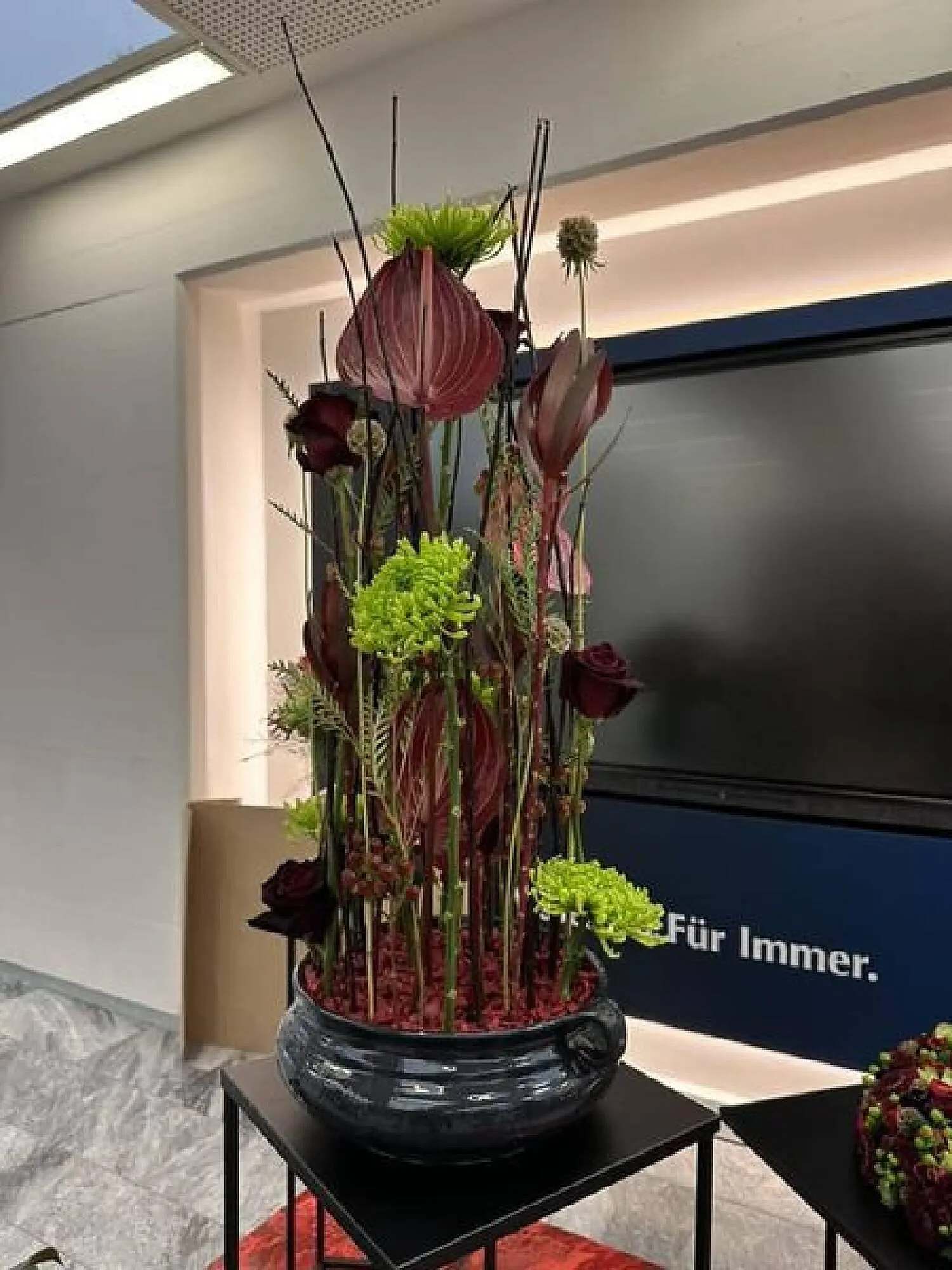 Blumen B&B Flugblatt von 19. April bis 2. Mai 2024 - Flugblätt seite  5