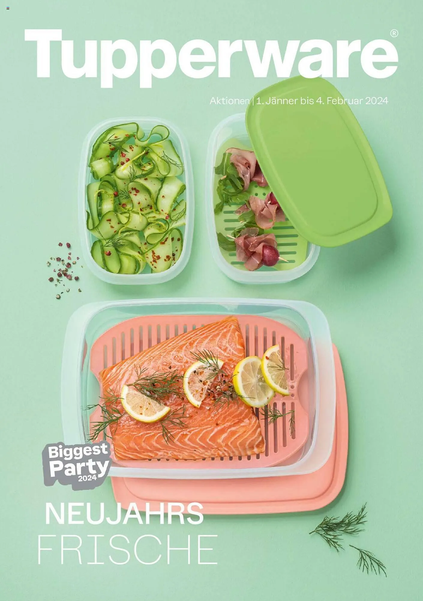 Tupperware Flugblatt - 1