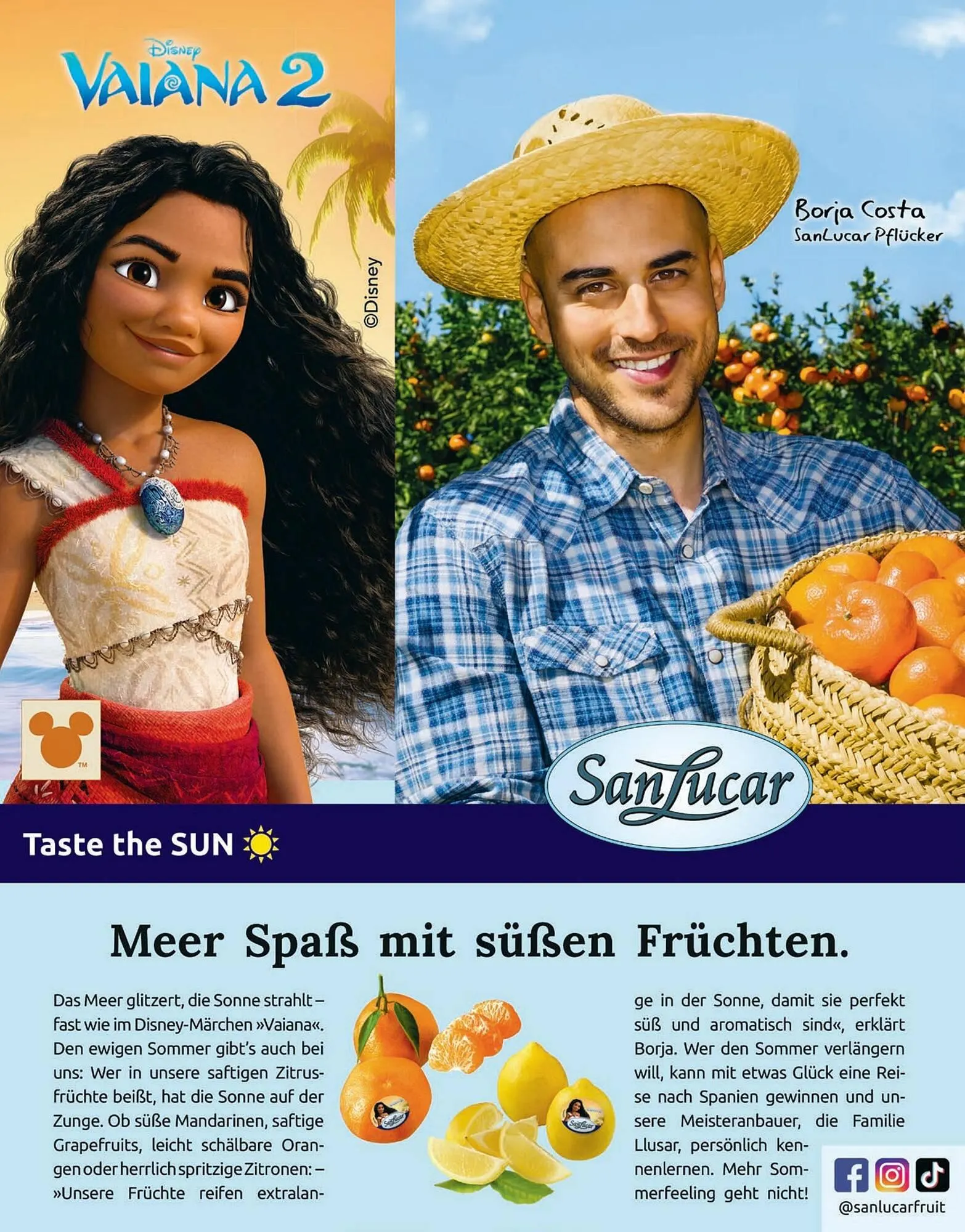 Sutterlüty Flugblatt von 19. November bis 9. Dezember 2024 - Flugblätt seite  65