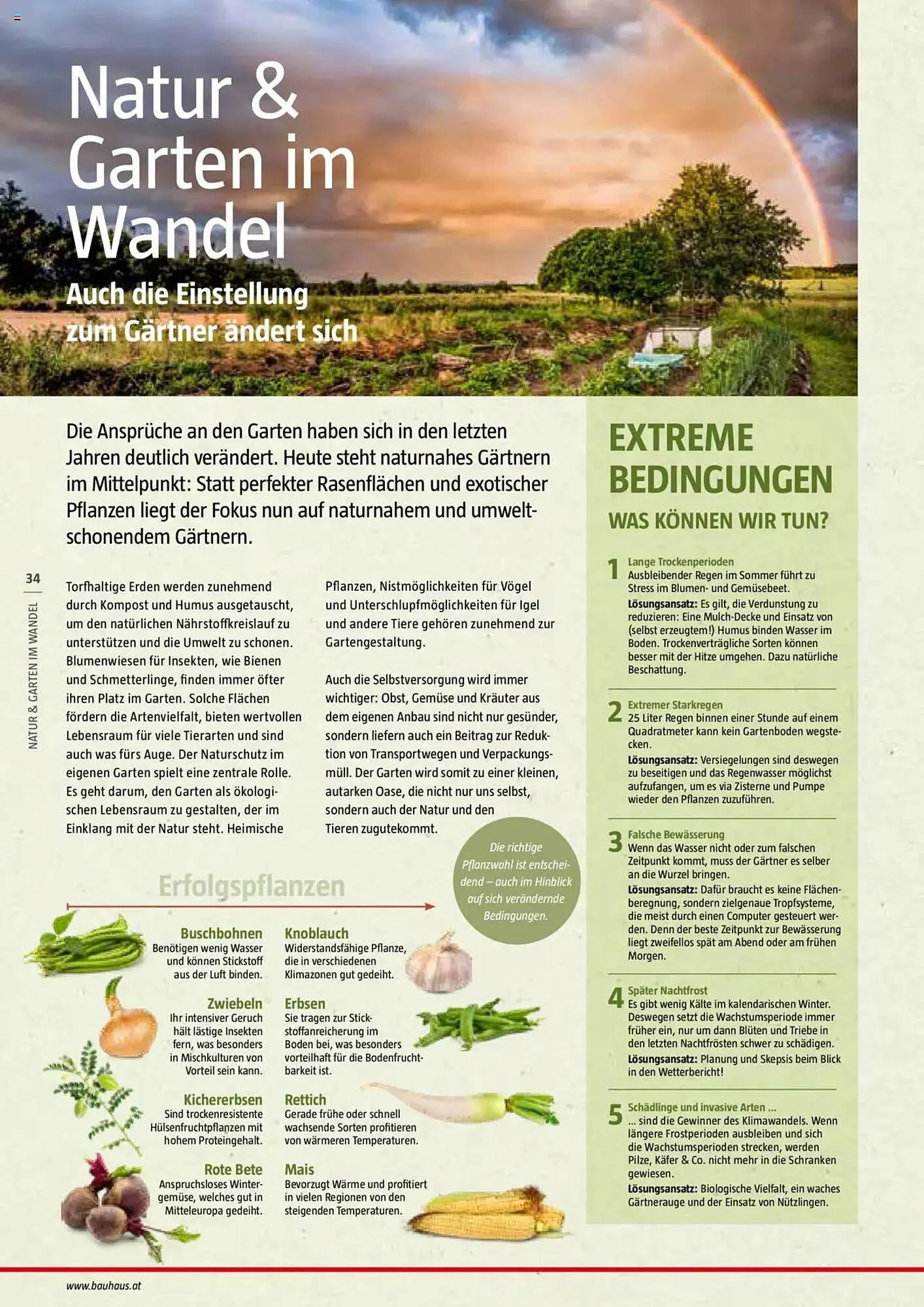 Bauhaus Flugblatt von 1. Juli bis 6. März 2026 - Flugblätt seite  34