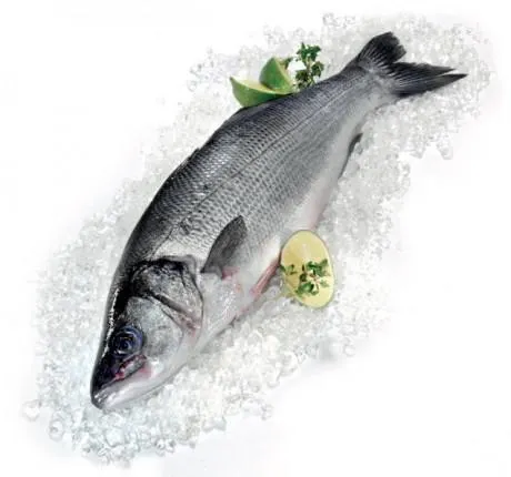 Wolfsbarsch rund ASC frisch gekühlt