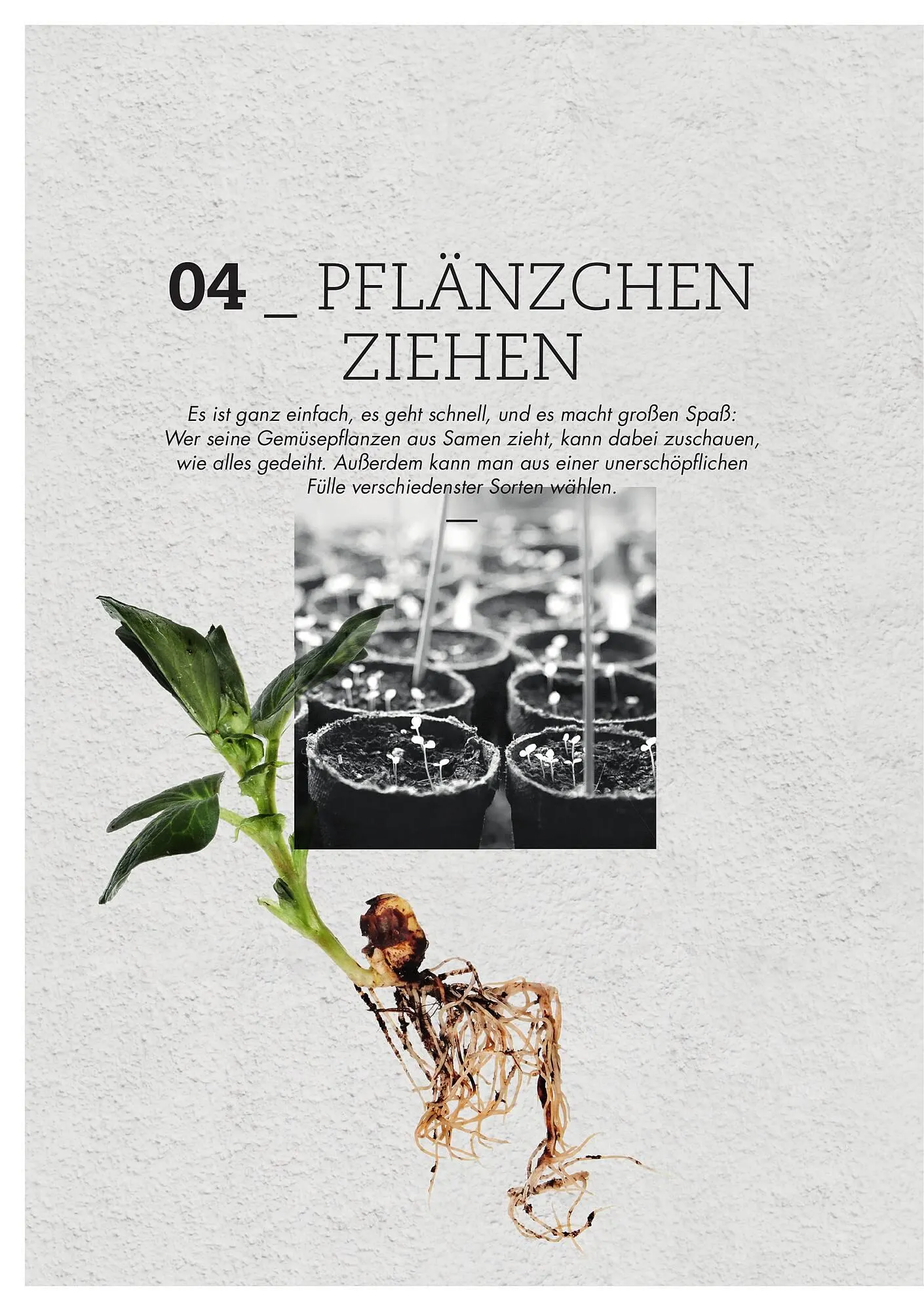 Bellaflora Flugblatt von 3. Jänner bis 31. Mai 2025 - Flugblätt seite 4