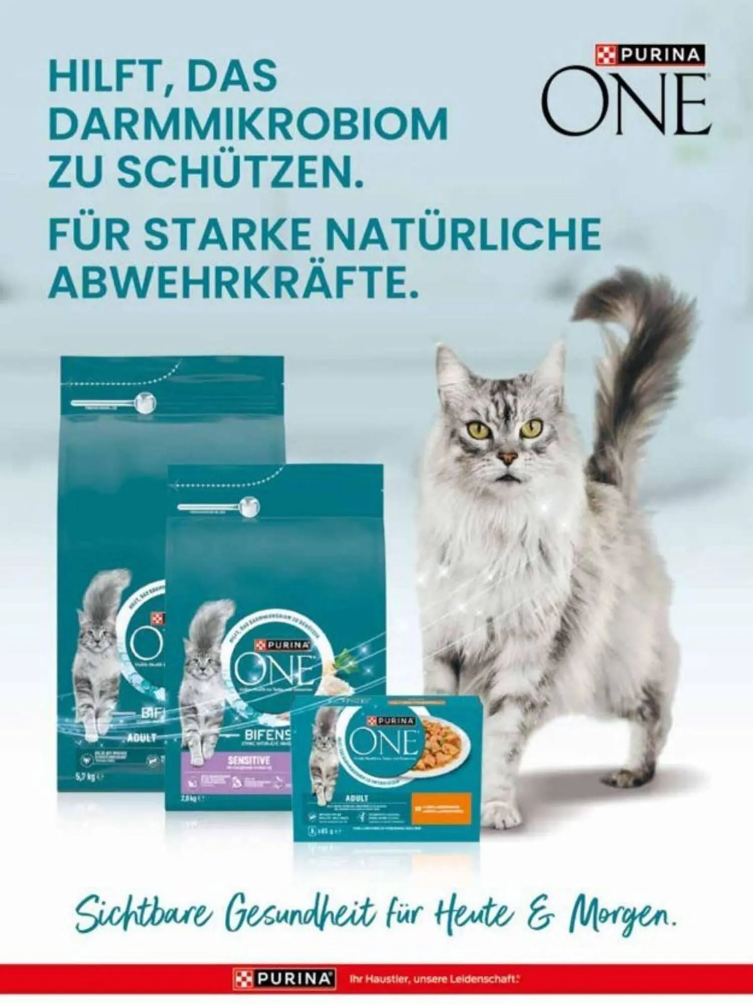 Das Futterhaus Prospekt von 3. Oktober bis 30. November 2025 - Flugblätt seite 32