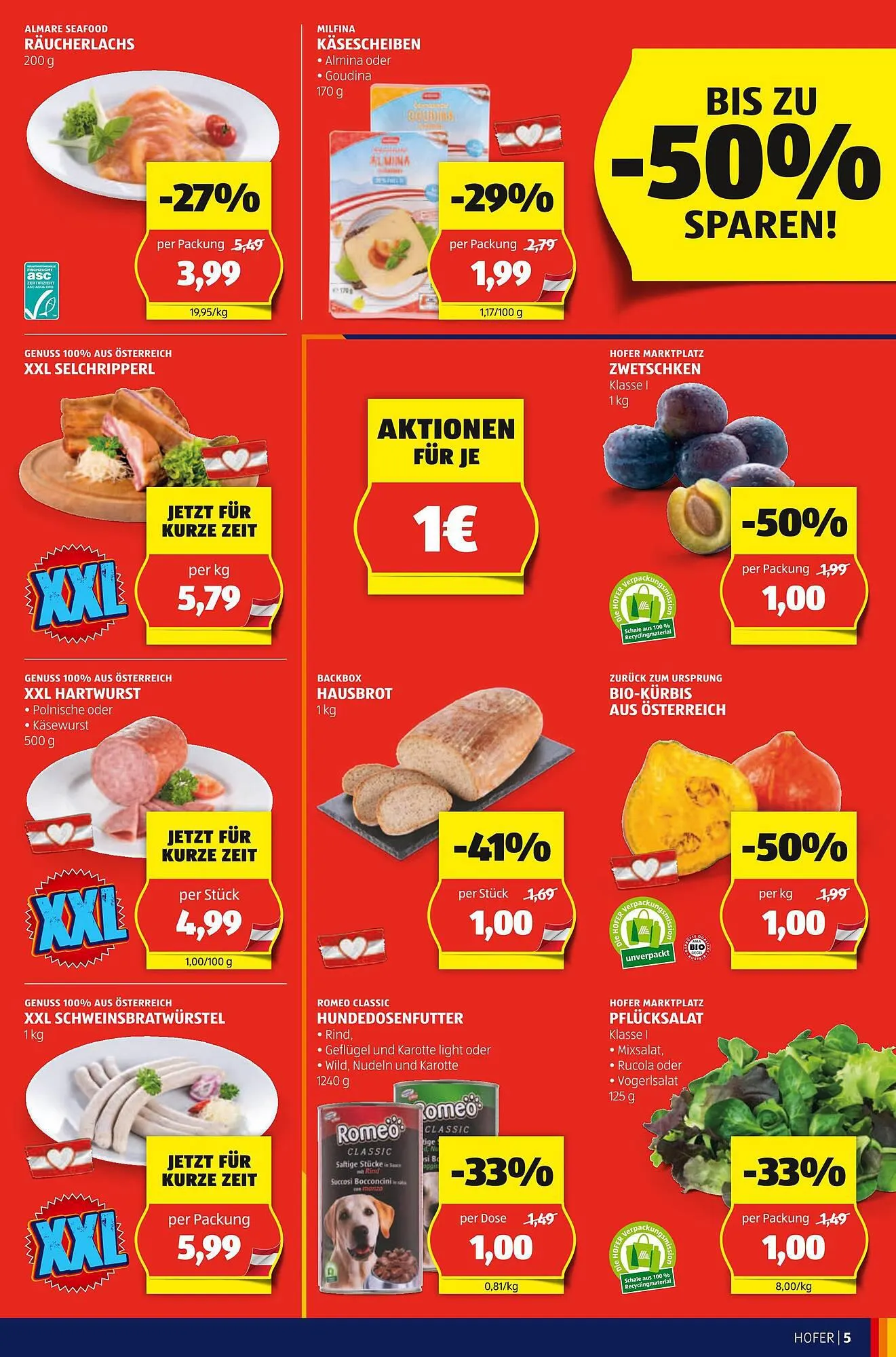 Hofer Flugblatt von 8. September bis 14. September 2023 - Flugblätt seite 5