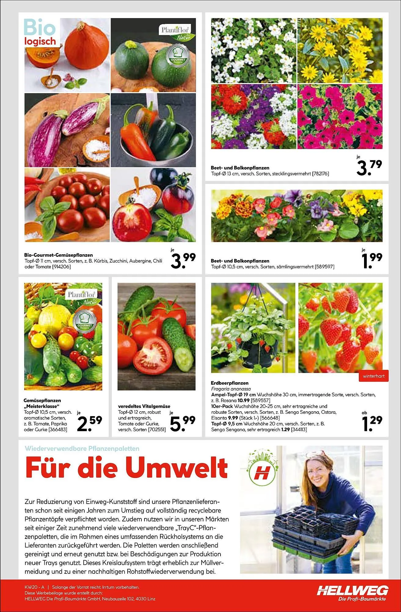 Hellweg Flugblatt von 16. Mai bis 28. Mai 2024 - Flugblätt seite 19