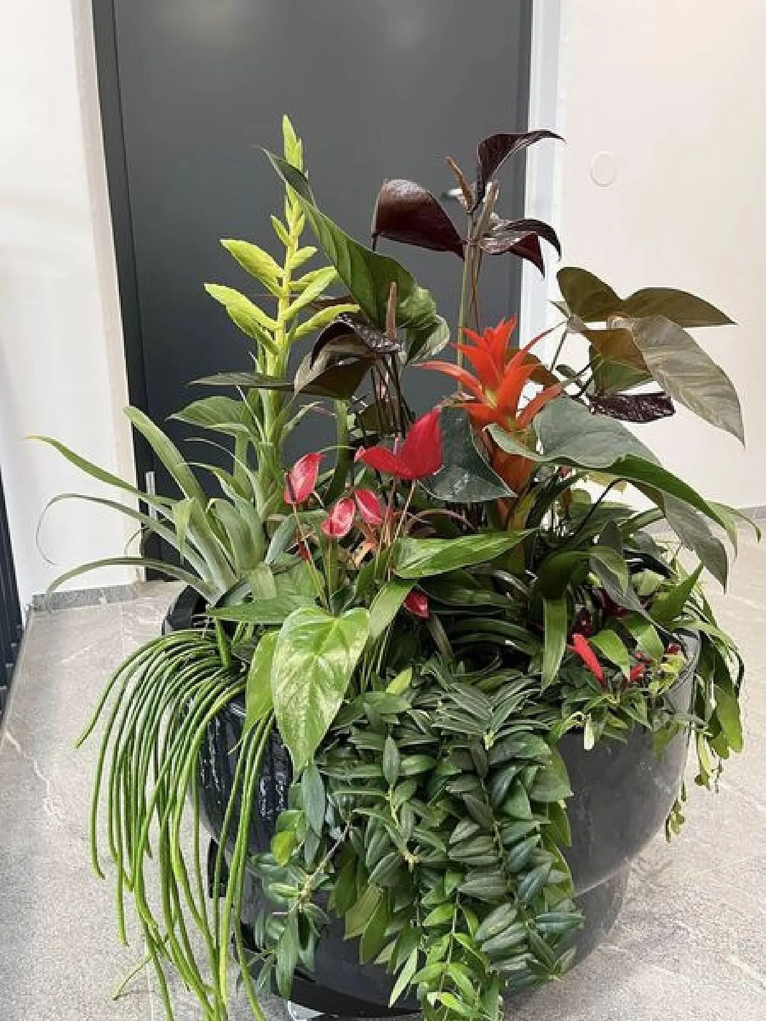 Blumen B&B Flugblatt von 19. April bis 2. Mai 2024 - Flugblätt seite  2