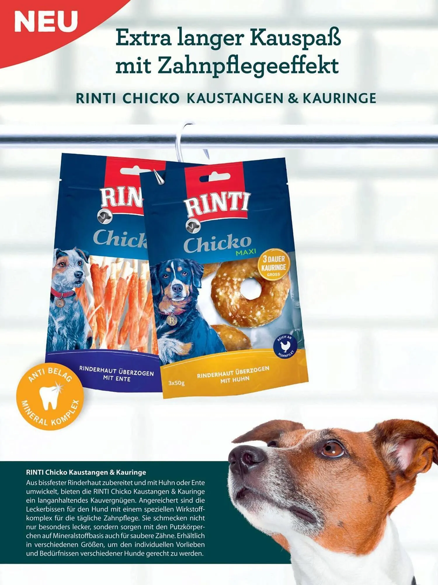 Das Futterhaus Flugblatt von 1. April bis 20. Mai 2024 - Flugblätt seite 11