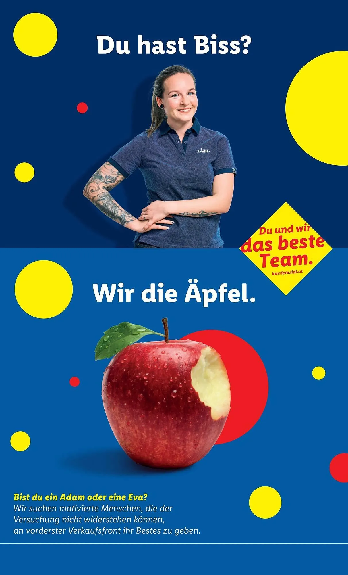 Lidl Flugblatt von 26. Februar bis 5. März 2026 - Flugblätt seite  48