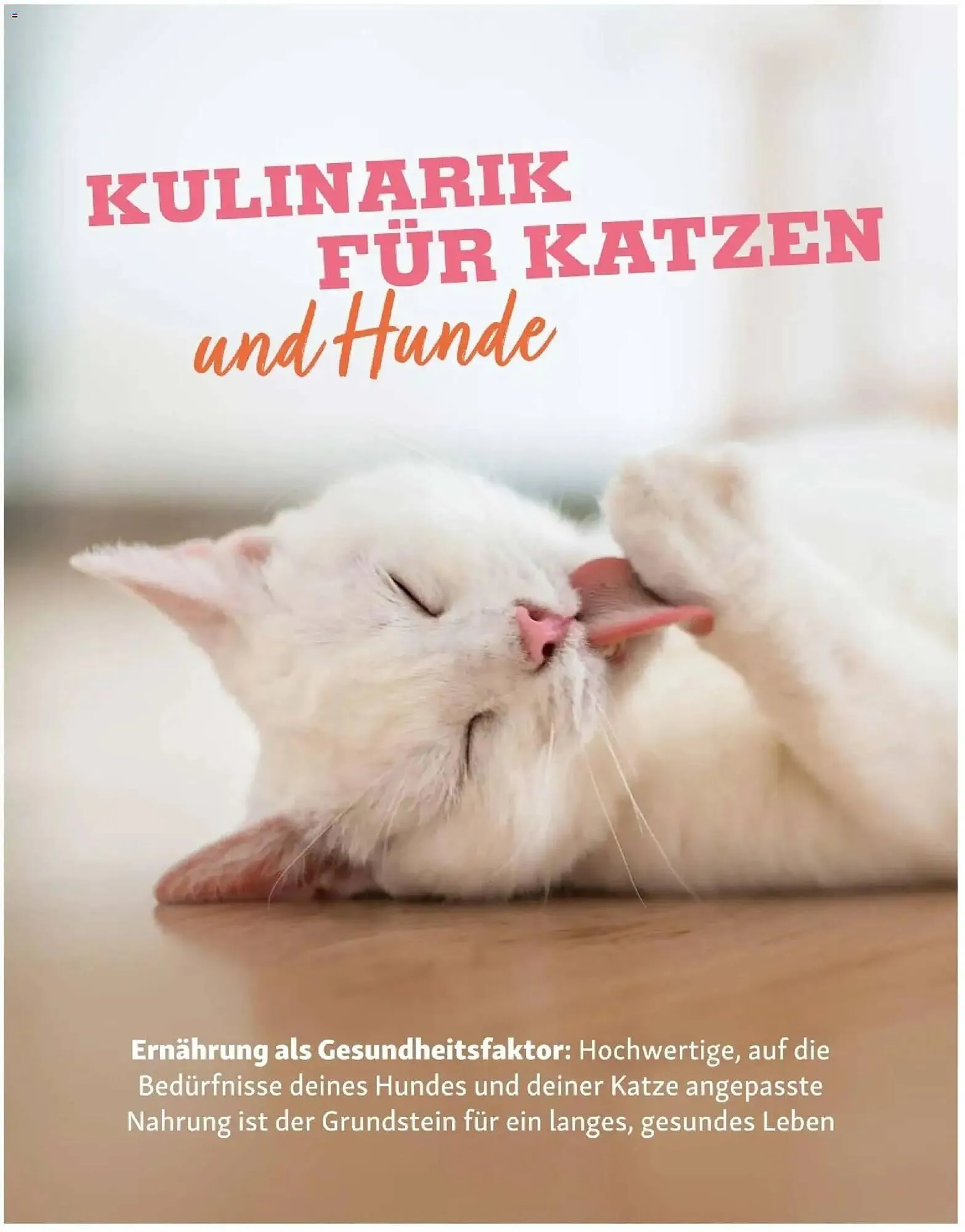 Fressnapf Flugblatt von 1. März bis 30. April 2026 - Flugblätt seite 16