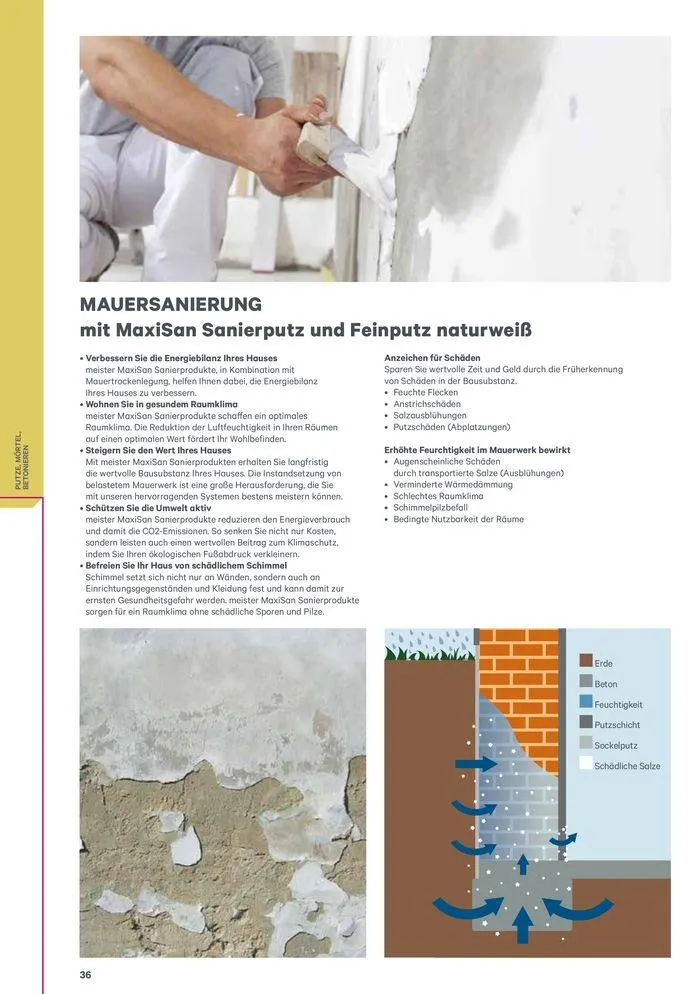 Meister Katalog von 1. Februar bis 31. Dezember 2024 - Flugblätt seite 36