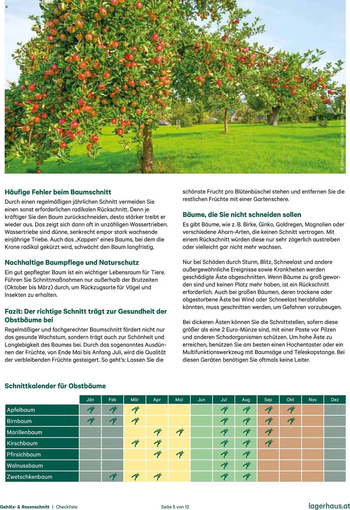 Lagerhaus Flugblatt von 20. Oktober bis 31. Dezember 2025 - Flugblätt seite 5