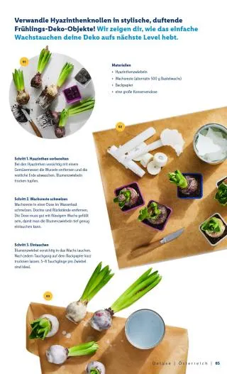 Lidl Flugblatt - Deluxe Ostern von 1. März bis 4. April 2026 - Flugblätt seite  65