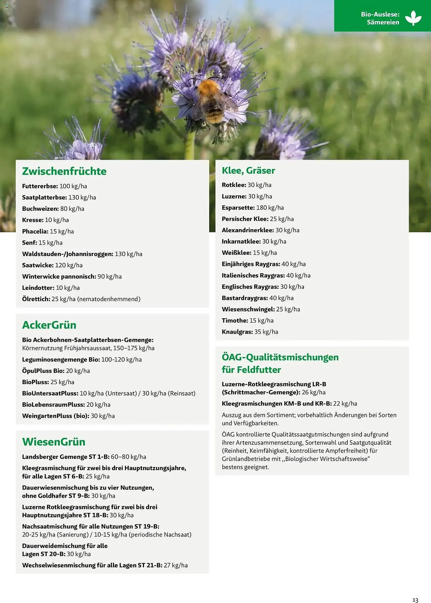 Lagerhaus Flugblatt von 1. März bis 31. Mai 2026 - Flugblätt seite  13