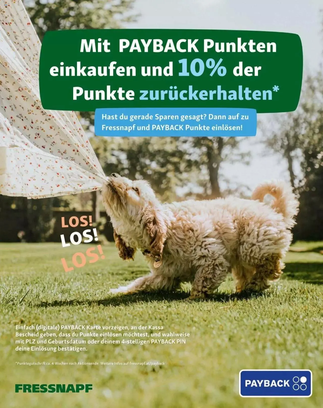 Fressnapf Friends 02/2023 von 1. März bis 31. Dezember 2023 - Flugblätt seite  2