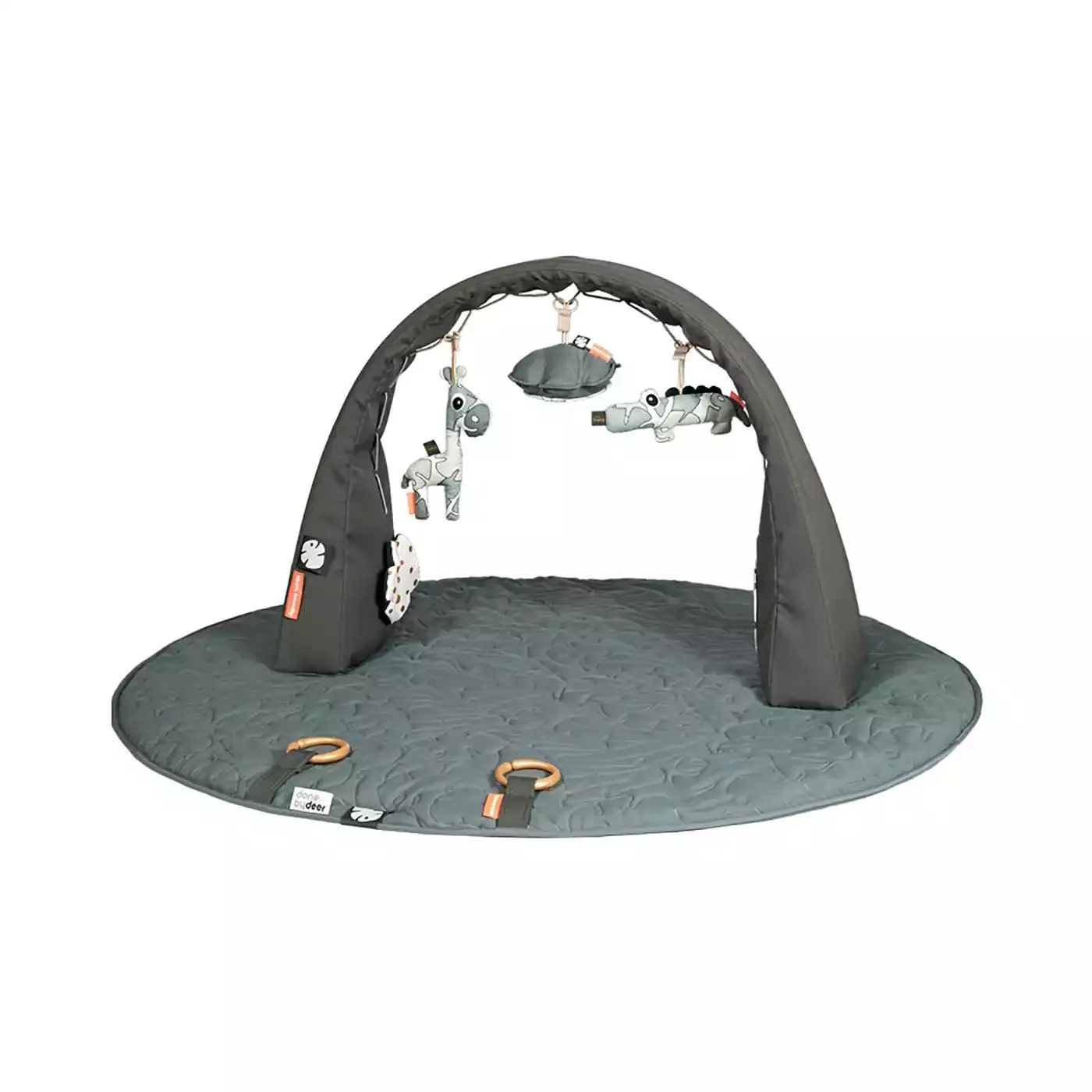 Activity Gym & Playmat tiny tropics