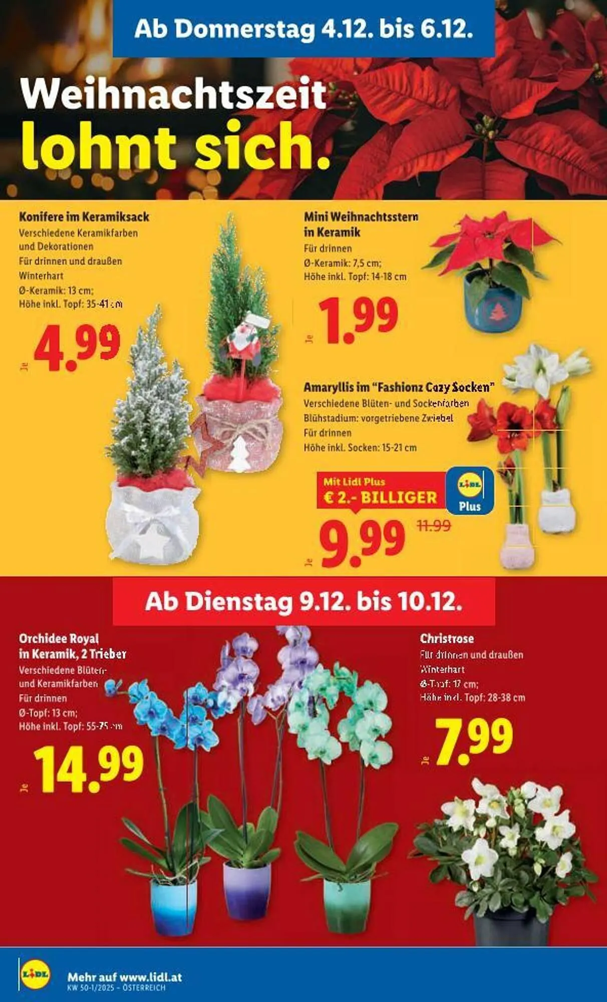 Lidl Flugblatt von 4. Dezember bis 10. Dezember 2025 - Flugblätt seite  33