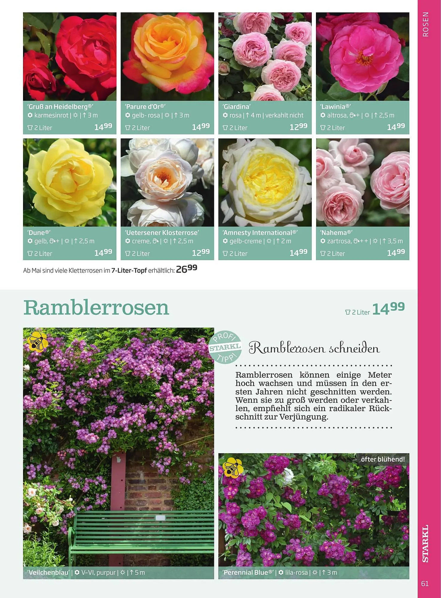 Starkl Flugblatt von 1. April bis 31. Dezember 2024 - Flugblätt seite 61