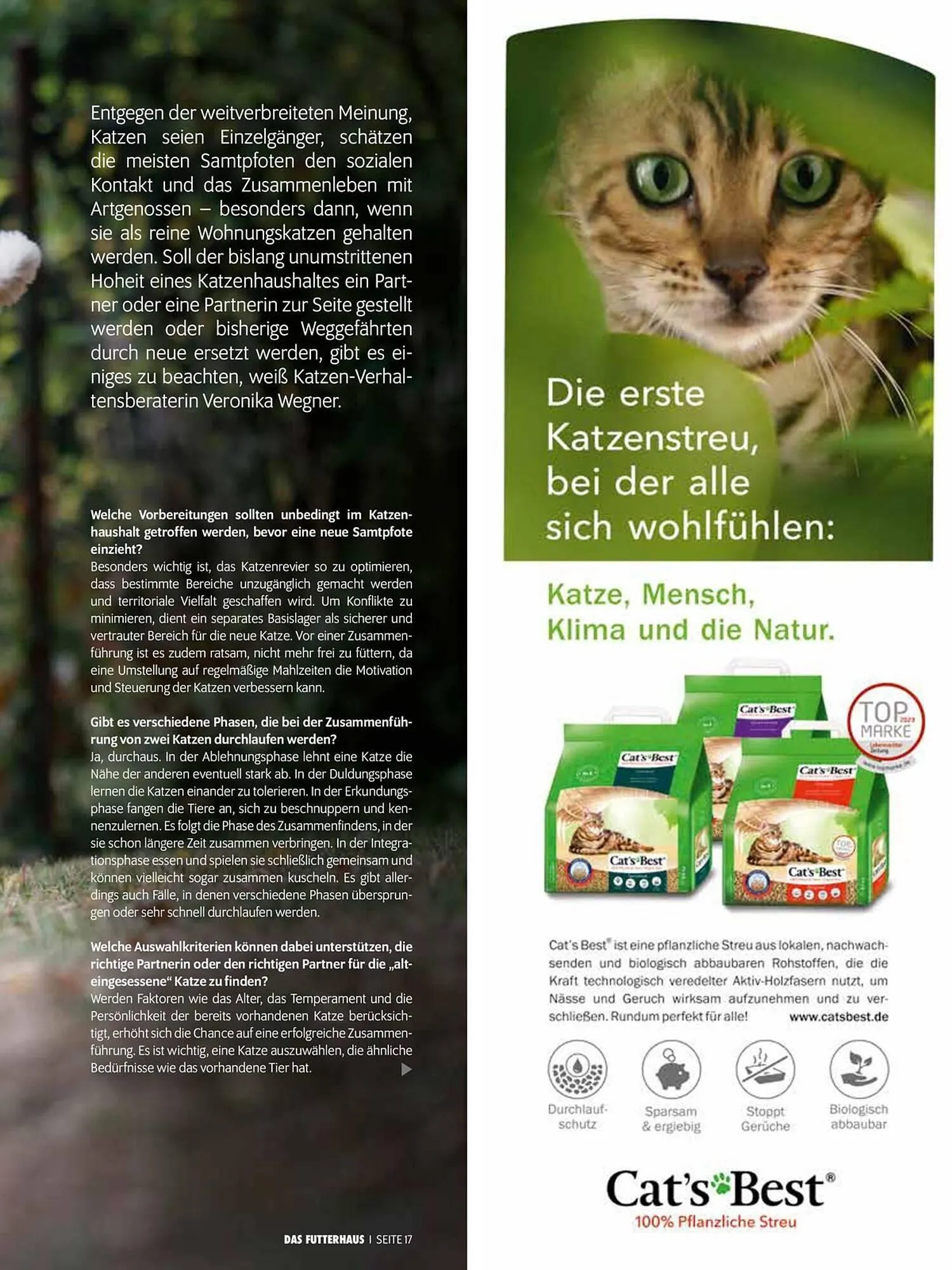 Das Futterhaus Flugblatt von 31. Mai bis 23. Juni 2024 - Flugblätt seite 17