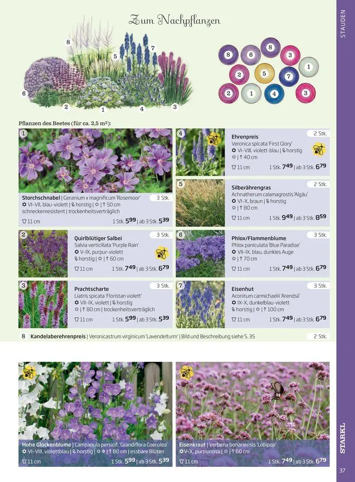 Gartencenter Jahreskatalog 2024 von 20. Mai bis 31. Dezember 2024 - Flugblätt seite  37