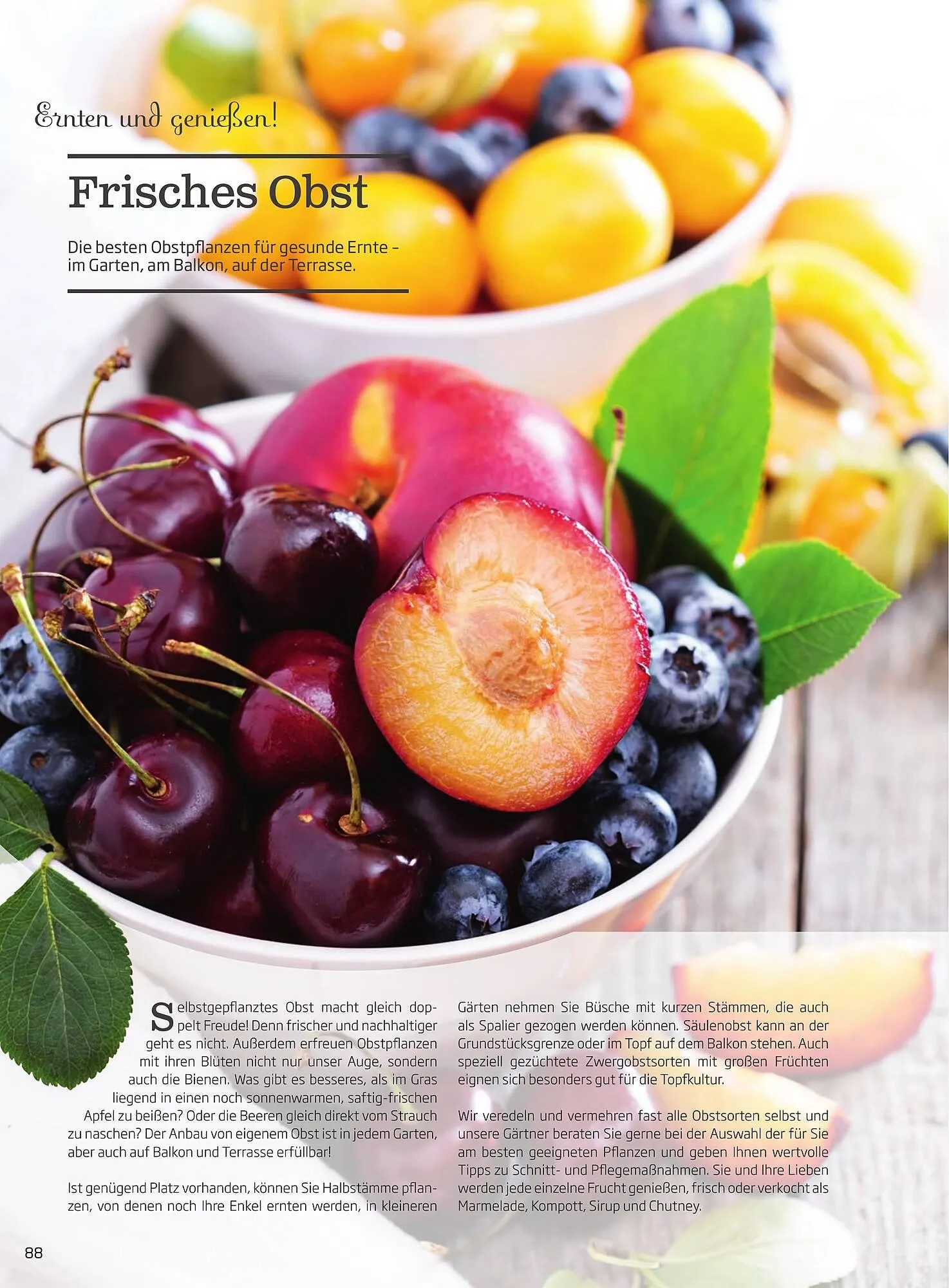 Starkl Flugblatt von 1. Jänner bis 31. Dezember 2023 - Flugblätt seite  88