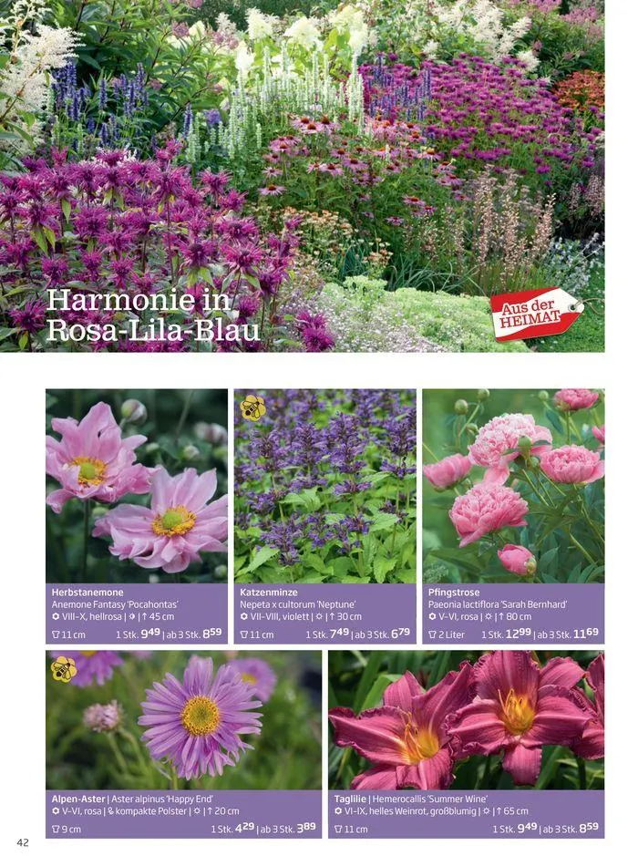 Gartencenter Jahreskatalog 2024 von 20. Mai bis 31. Dezember 2024 - Flugblätt seite  42