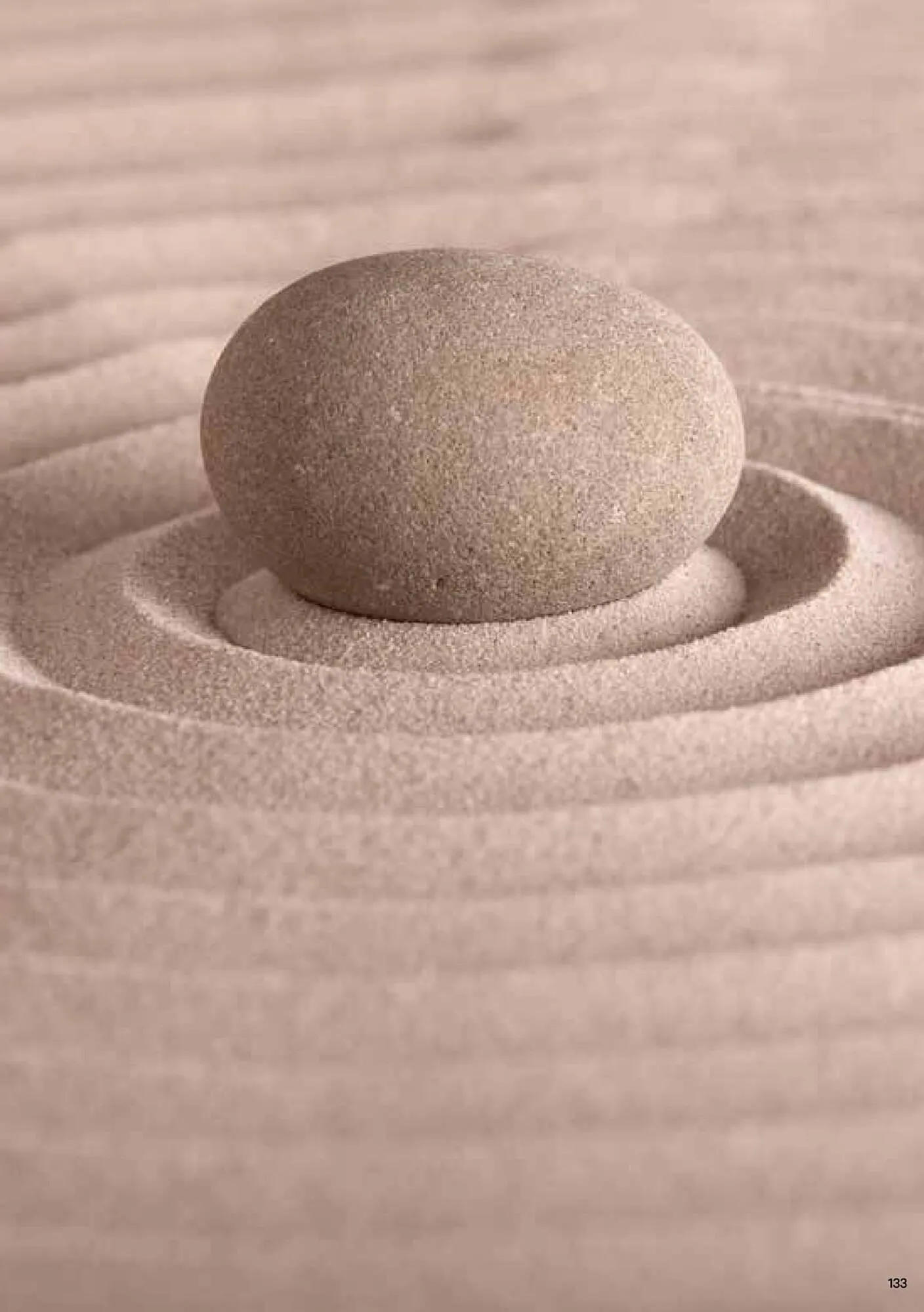 Lagerhaus Flugblatt von 1. Jänner bis 31. Dezember 2026 - Flugblätt seite 133