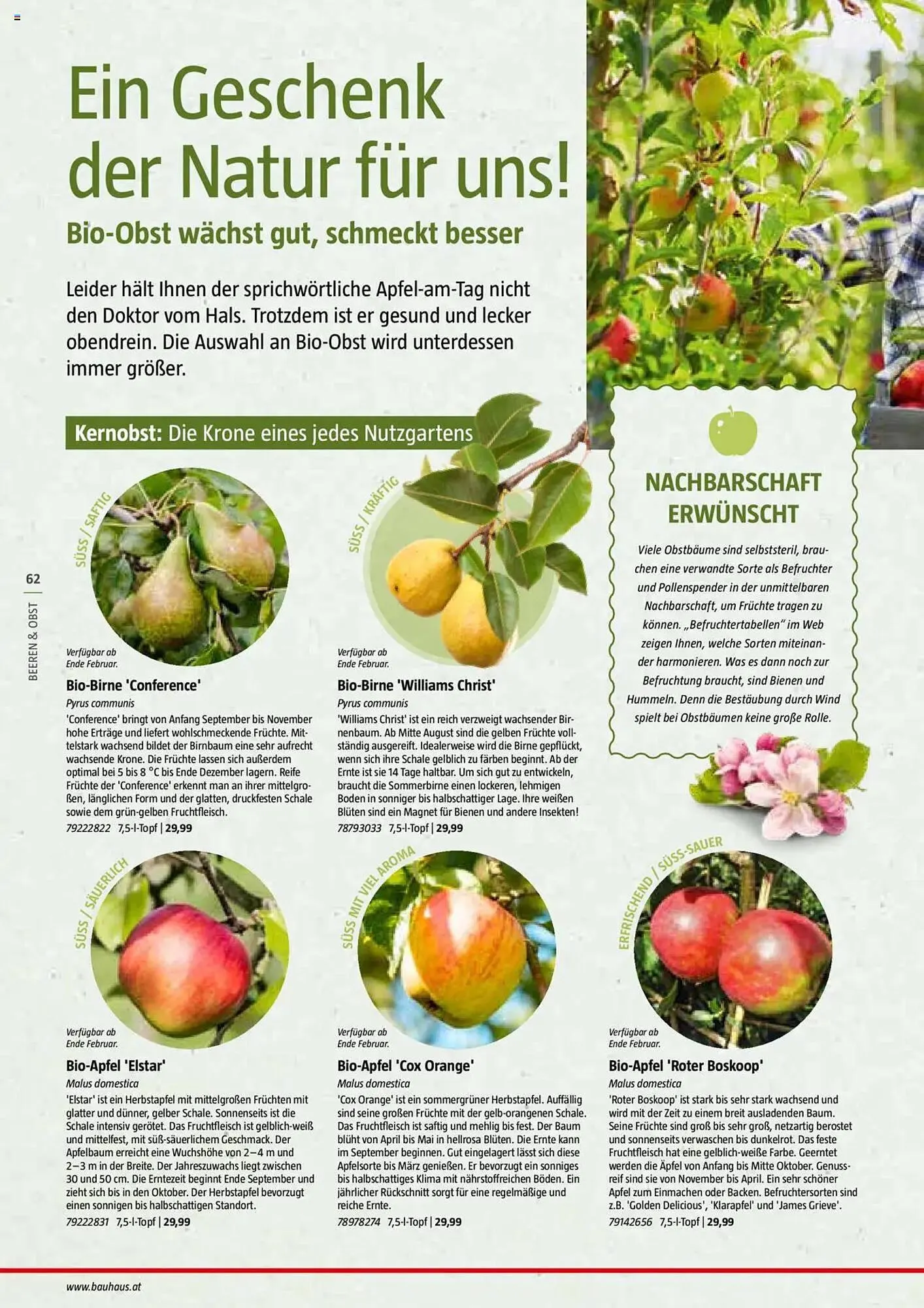 Bauhaus Flugblatt von 1. Juli bis 6. März 2026 - Flugblätt seite  62