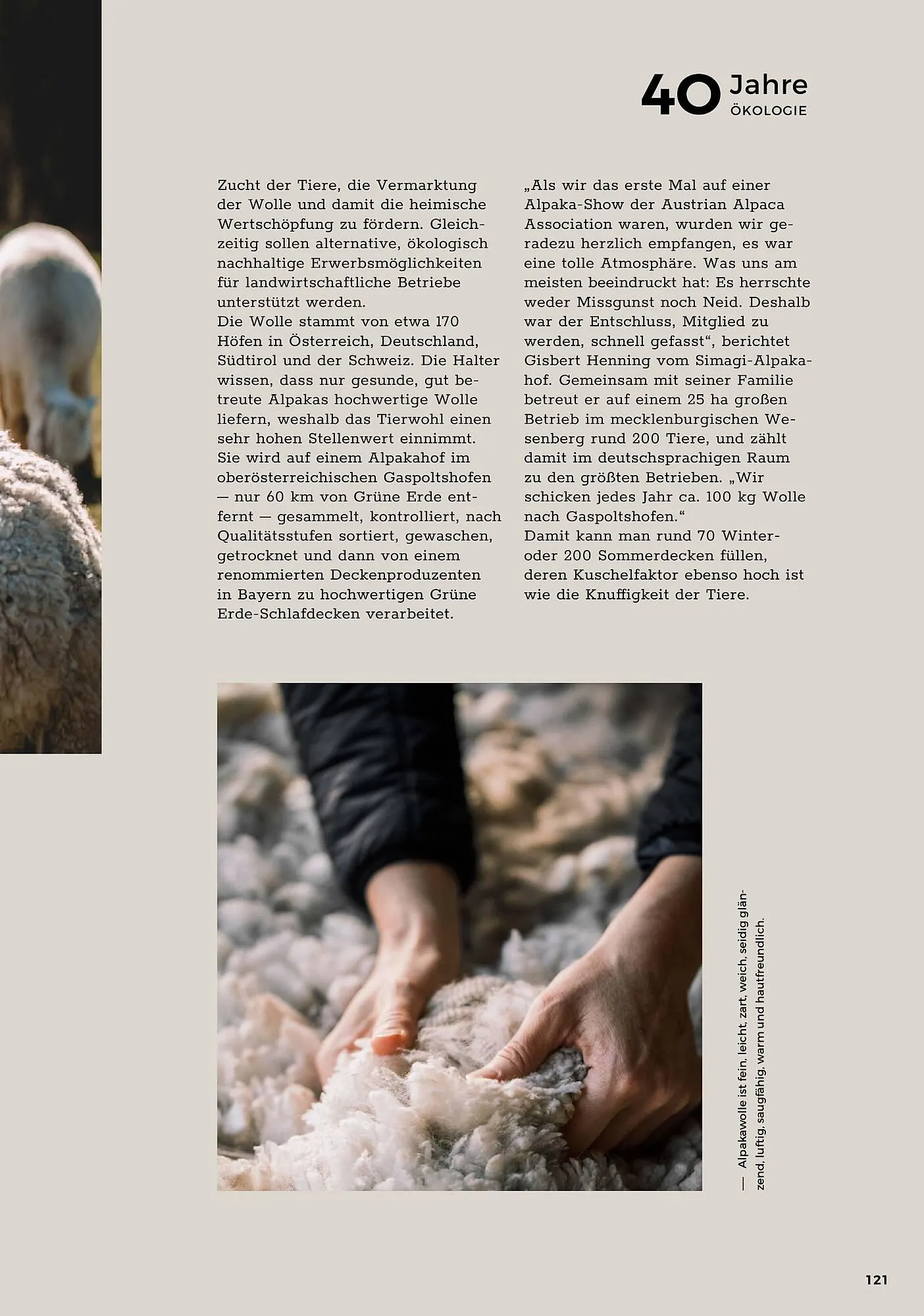 Grüne Erde Flugblatt von 27. September bis 28. Dezember 2024 - Flugblätt seite 119