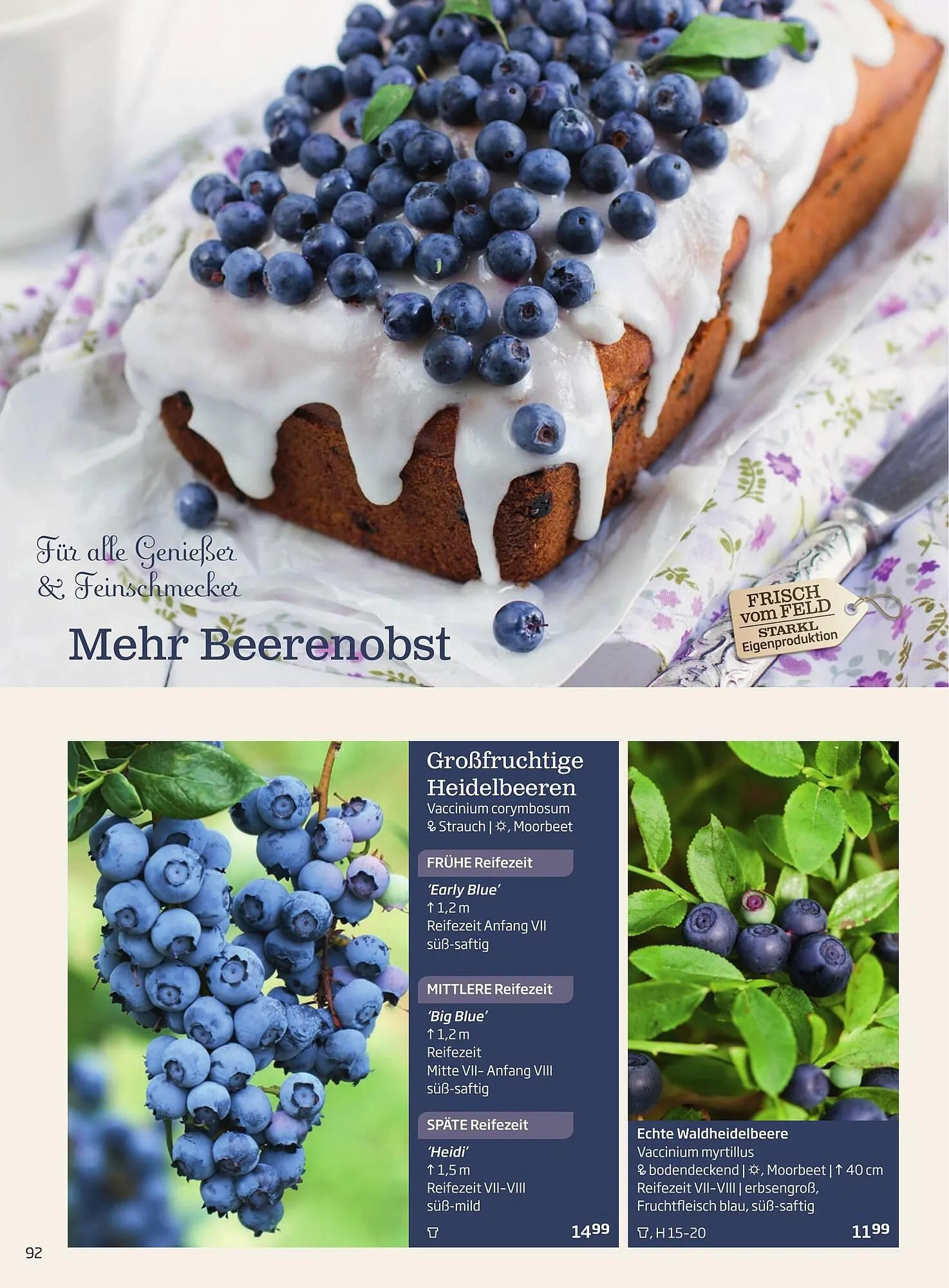 Starkl Flugblatt von 1. Jänner bis 31. Dezember 2023 - Flugblätt seite 92