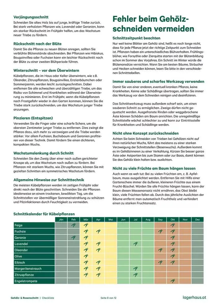 Checkliste: Gehölzschnitt & Rosenschnitt von 28. Dezember bis 11. Jänner 2025 - Flugblätt seite  8