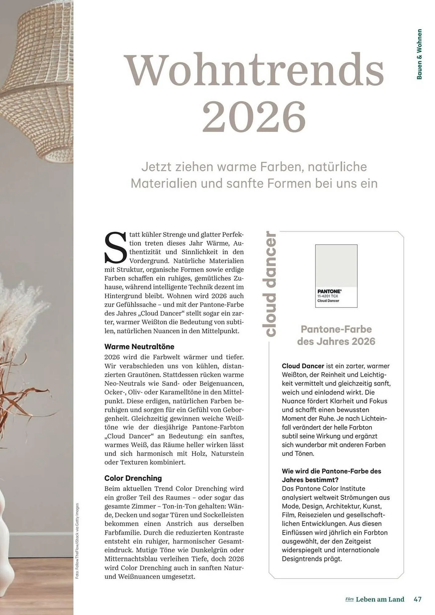 Lagerhaus Flugblatt von 1. Februar bis 28. Februar 2026 - Flugblätt seite  47