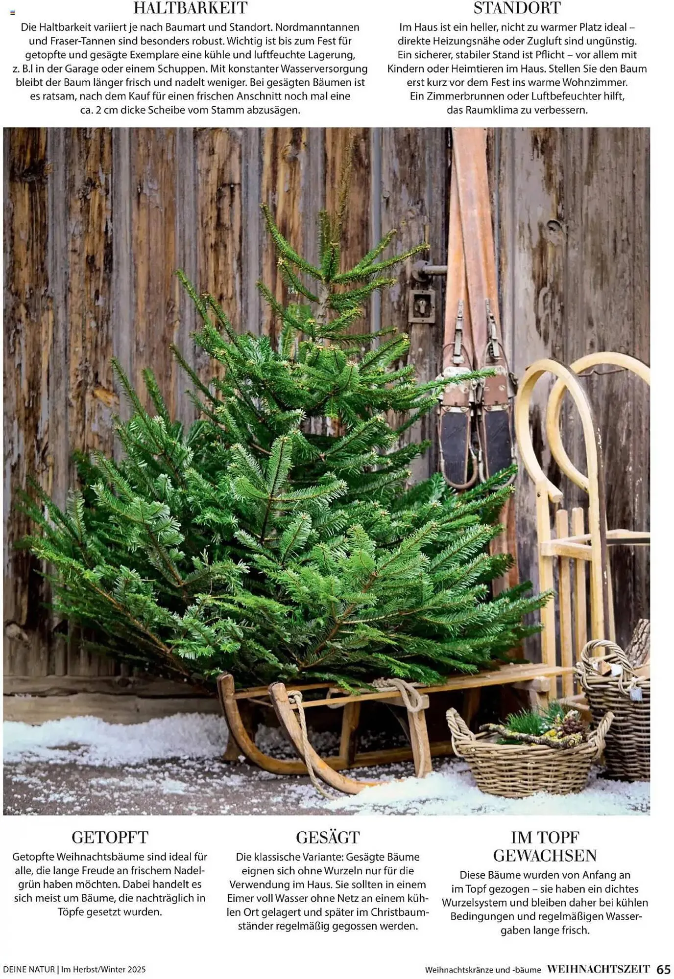 Dehner Flugblatt von 10. Oktober bis 30. November 2025 - Flugblätt seite 65