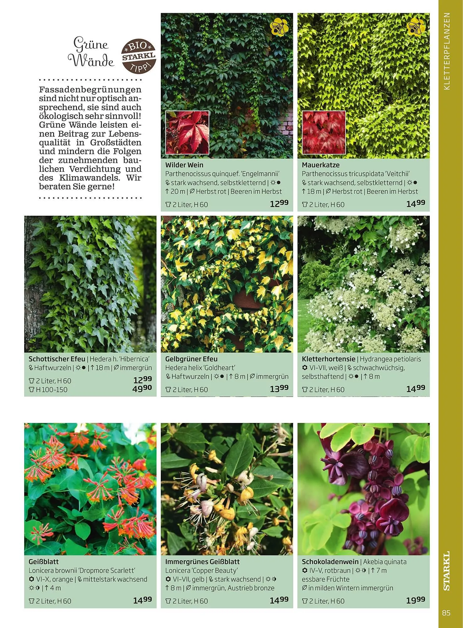 Starkl Flugblatt von 1. April bis 31. Dezember 2024 - Flugblätt seite  85