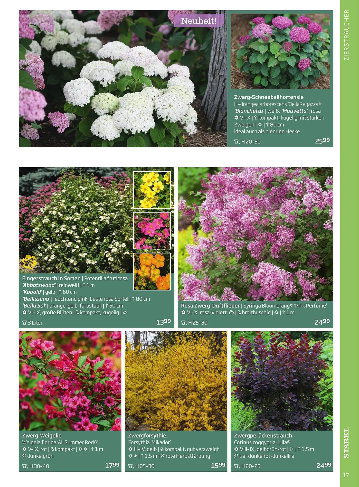 Starkl Flugblatt von 1. April bis 31. Dezember 2024 - Flugblätt seite 17