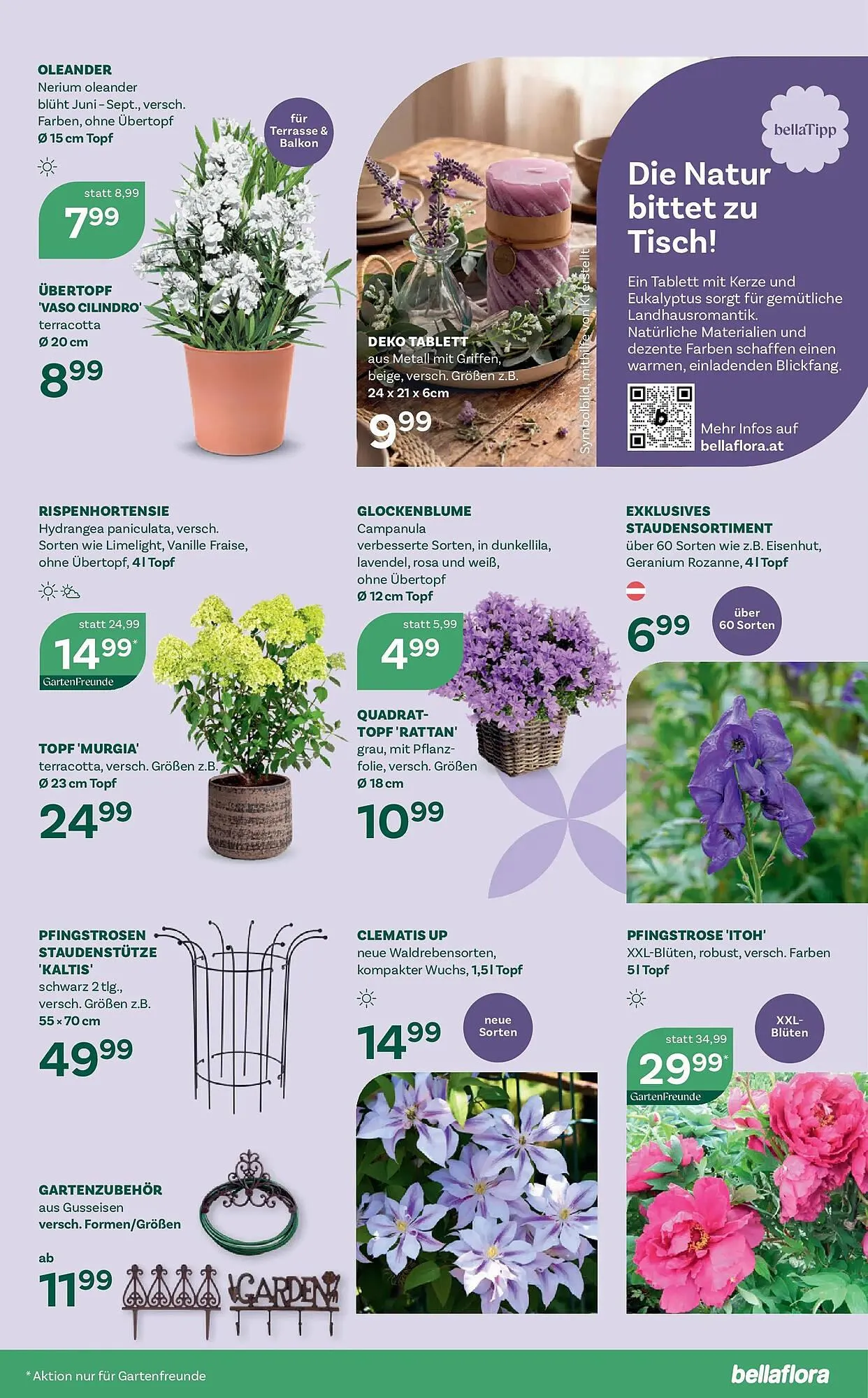 Bellaflora Flugblatt von 2. April bis 11. April 2026 - Flugblätt seite  7