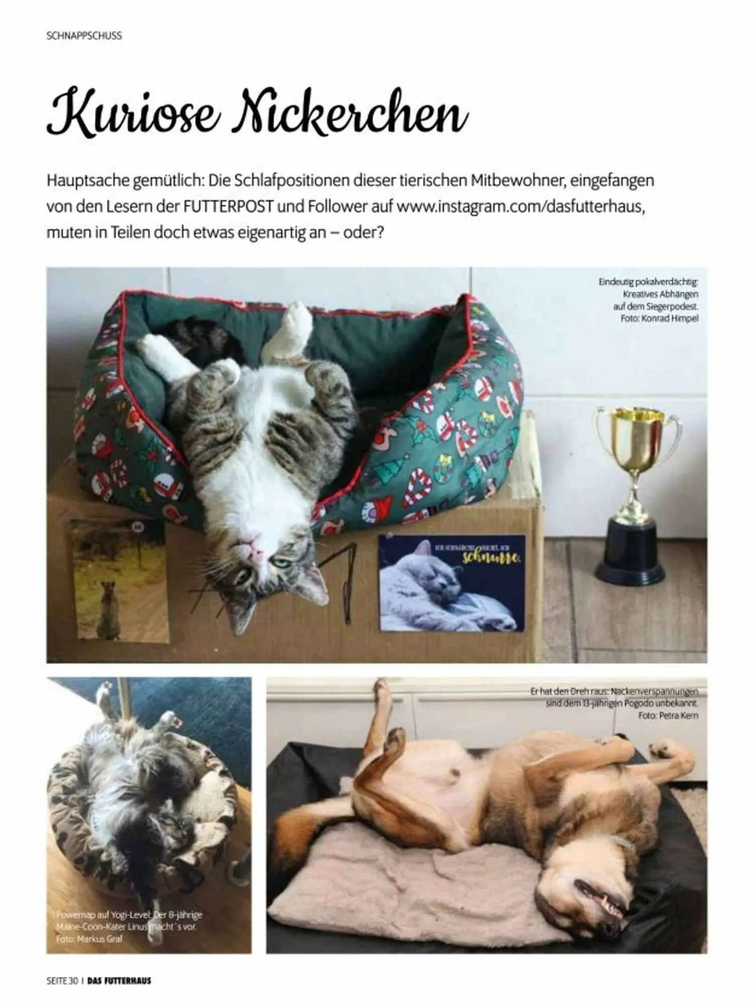 Das Futterhaus Prospekt von 3. Oktober bis 30. November 2025 - Flugblätt seite 30