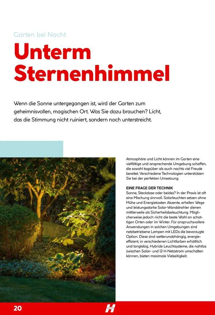 Smartes Gärtnern von 11. Juni bis 31. Dezember 2024 - Flugblätt seite 20
