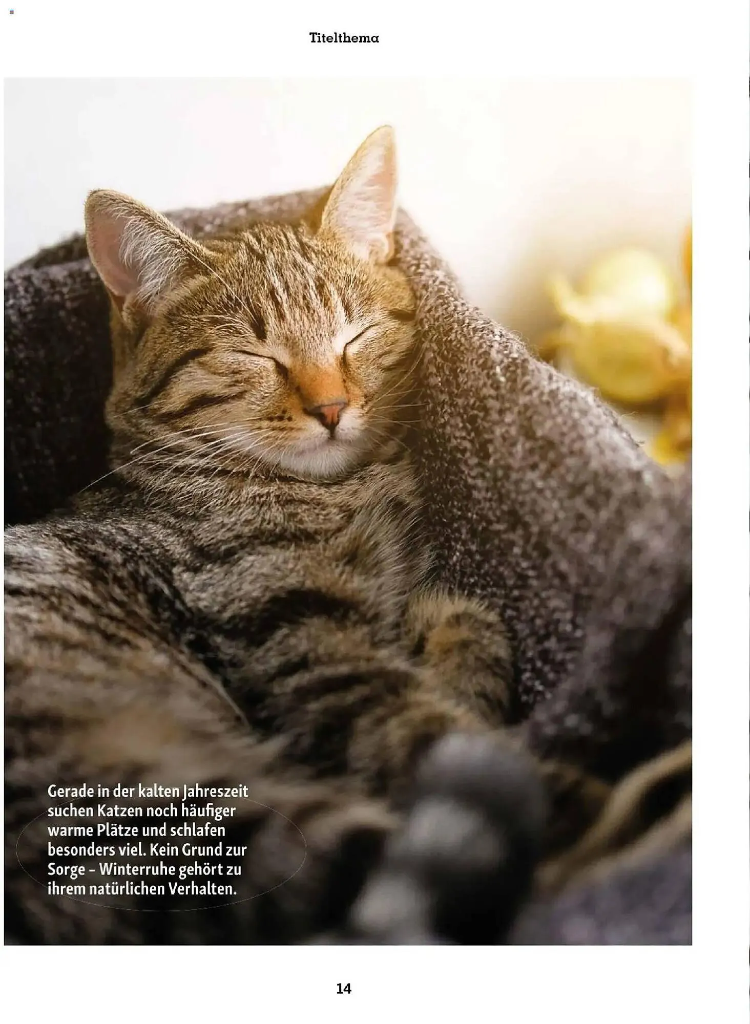 Fressnapf Flugblatt von 1. Jänner bis 28. Februar 2026 - Flugblätt seite  14