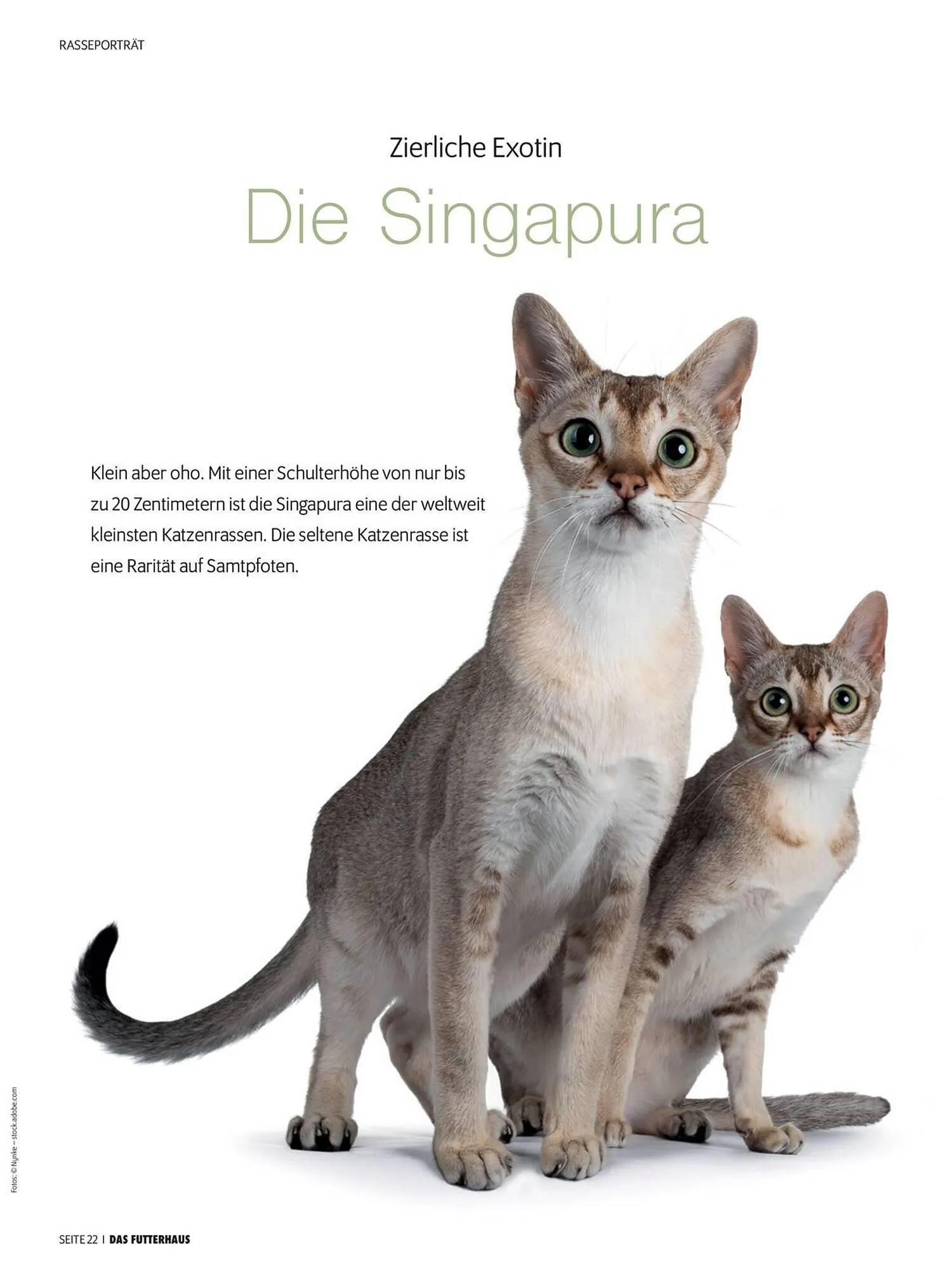 Das Futterhaus Flugblatt von 1. April bis 20. Mai 2024 - Flugblätt seite  22