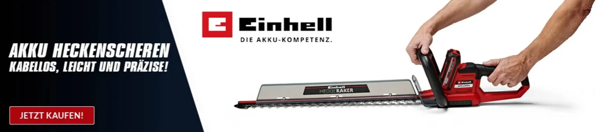Alternate Flugblatt - 1